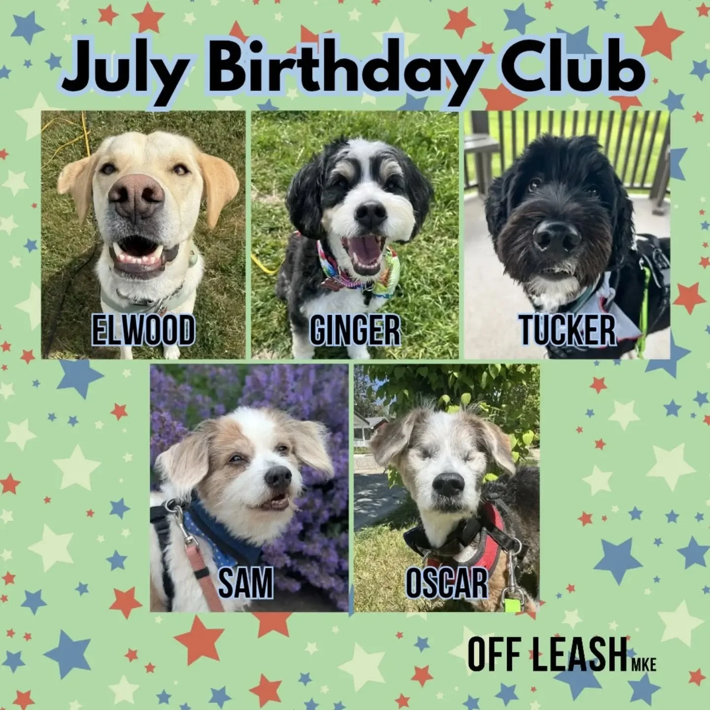 Happy Birthday to all of our July birthday pups!

Another trip around the sun means another year of sniffing, snacking, squirrel chasing, and convincing your humans you definitely need just one more treat. :wink:

We feel so lucky to be part of your 
