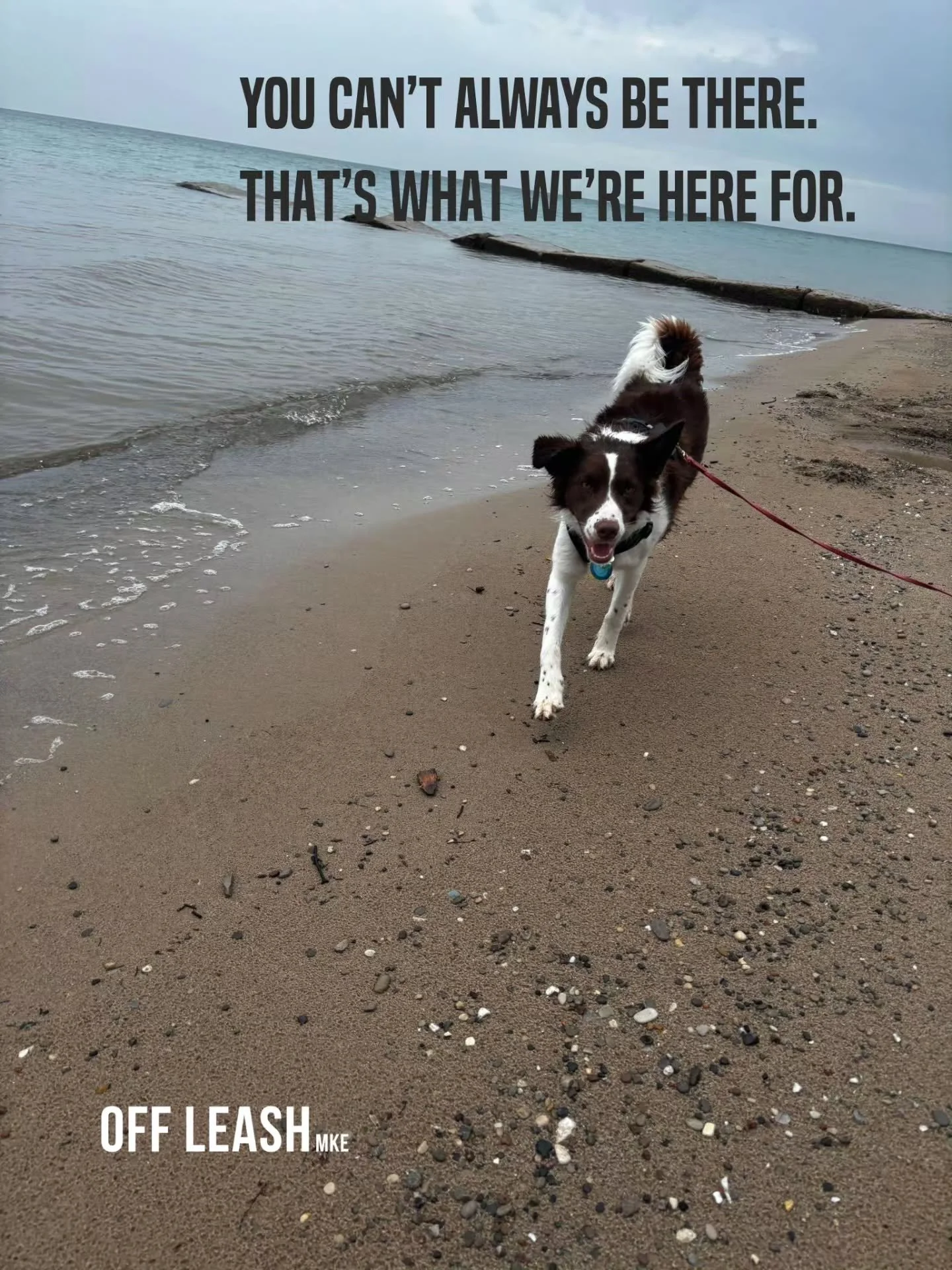 You can&rsquo;t always rearrange the meeting.
Leave work early.
Run home between appointments.
Or somehow be in two places at once.

And loving your dog doesn&rsquo;t mean you should have to. 
That&rsquo;s why having the right people in your dog&rsqu