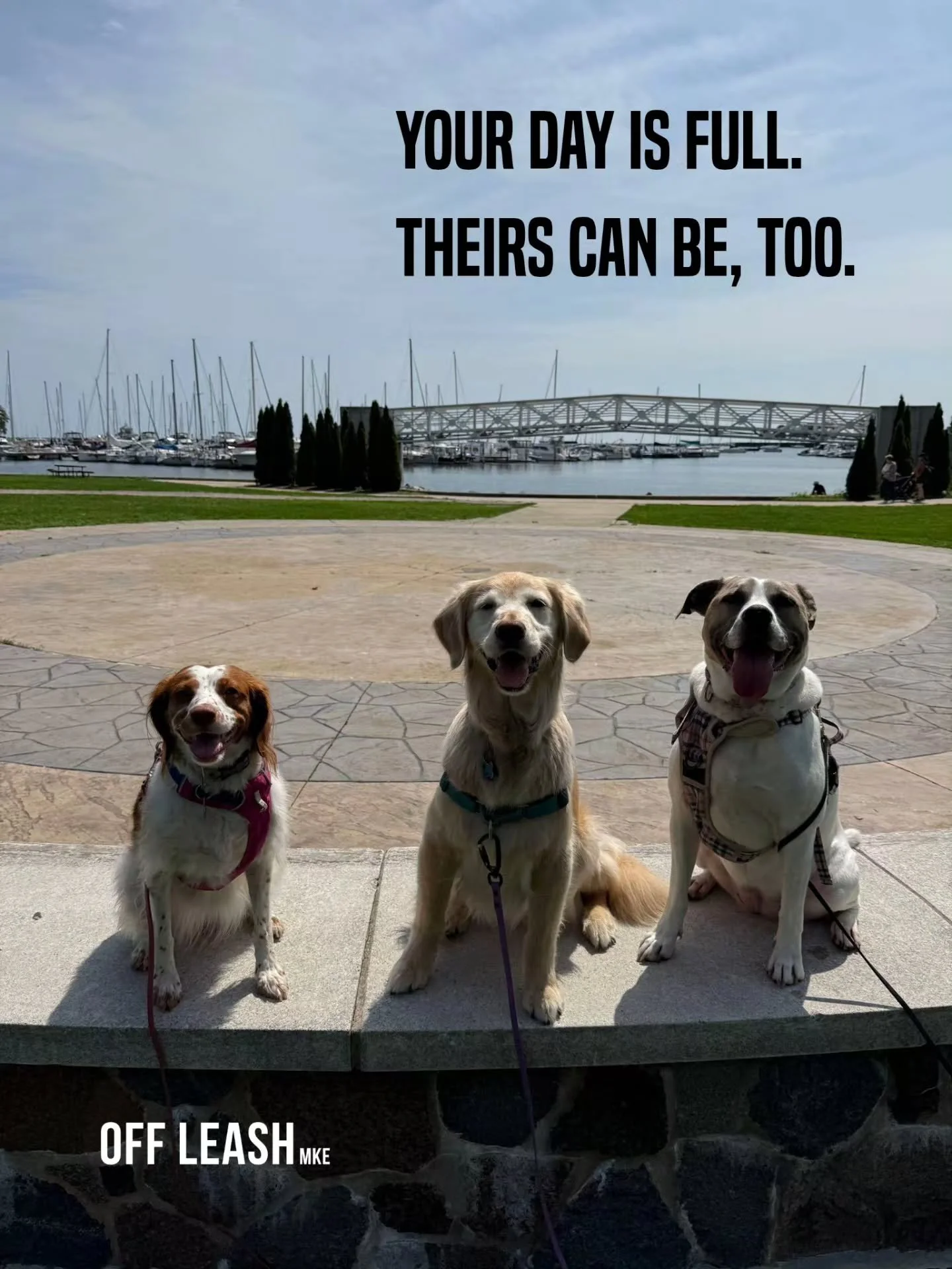 Your day can be full of meetings, appointments, errands and everything else life throws at you.

Their day can be full too.

Full of new smells. Fresh air. Favorite routes. Little adventures. Familiar faces. Time to move, explore and just be a dog.

