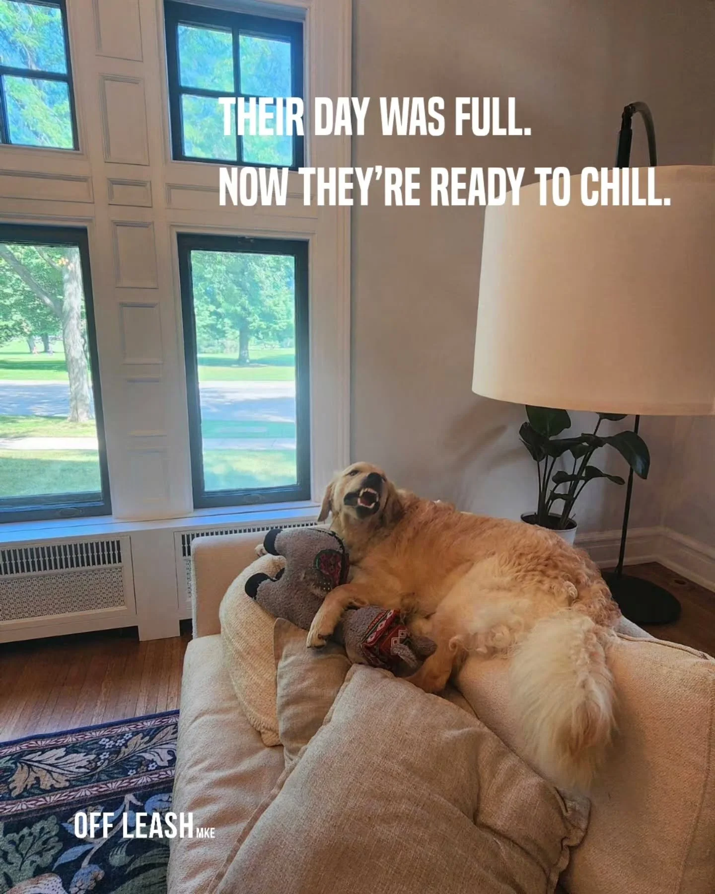 There&rsquo;s something pretty great about coming home to a dog who&rsquo;s already had a day of their own. 🐾

They&rsquo;ve sniffed. Explored. Moved their body. Used their brain. Seen familiar faces. Had a little adventure.

And now?

They are VERY