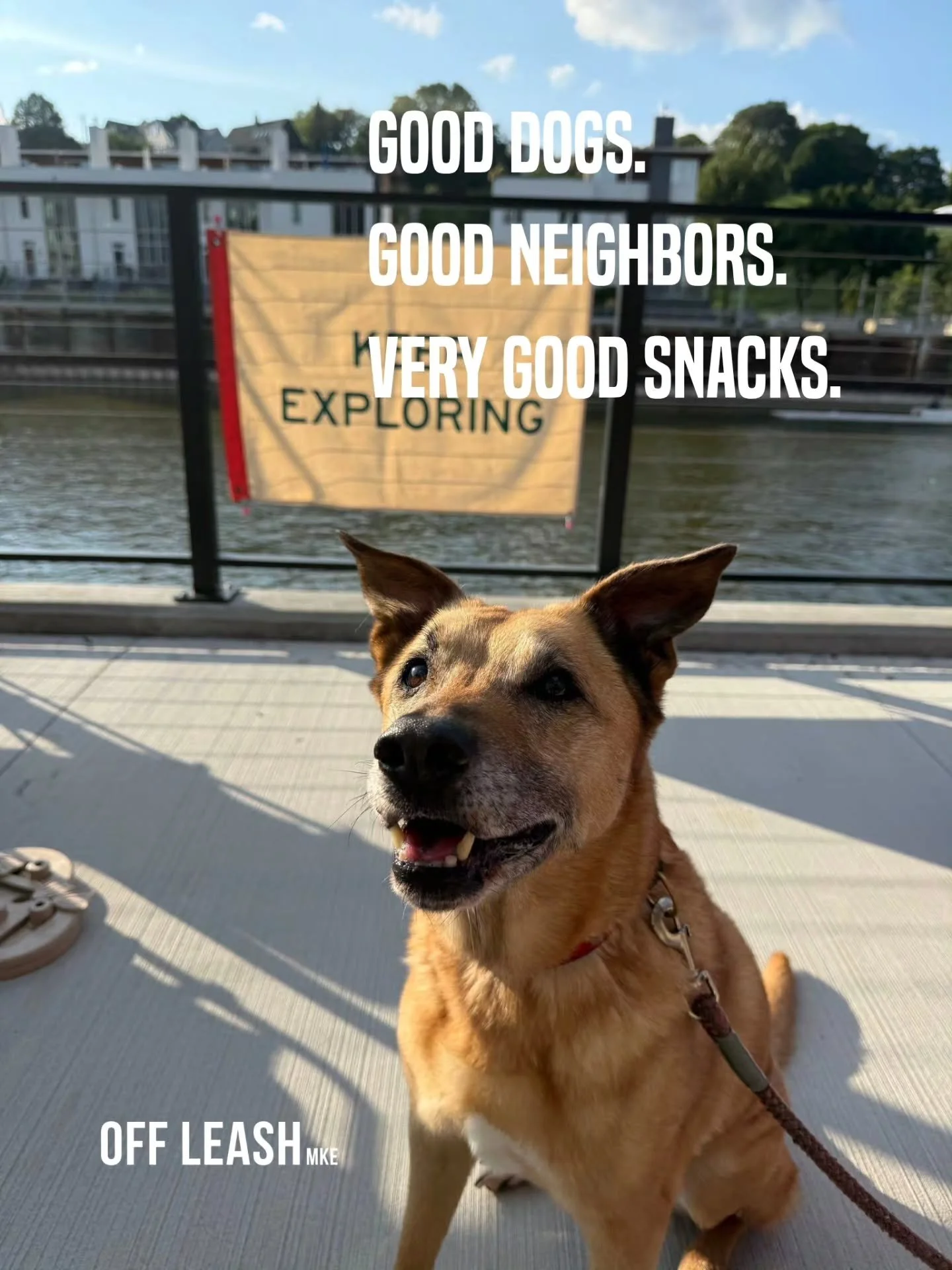 GOOD DOGS. GOOD NEIGHBORS. VERY GOOD SNACKS. 

We had such a fun time hanging out with the dogs and residents at The Rowe in downtown Milwaukee!

We brought along treats, enrichment toys, puzzles and plenty of things for the pups to investigate and, 