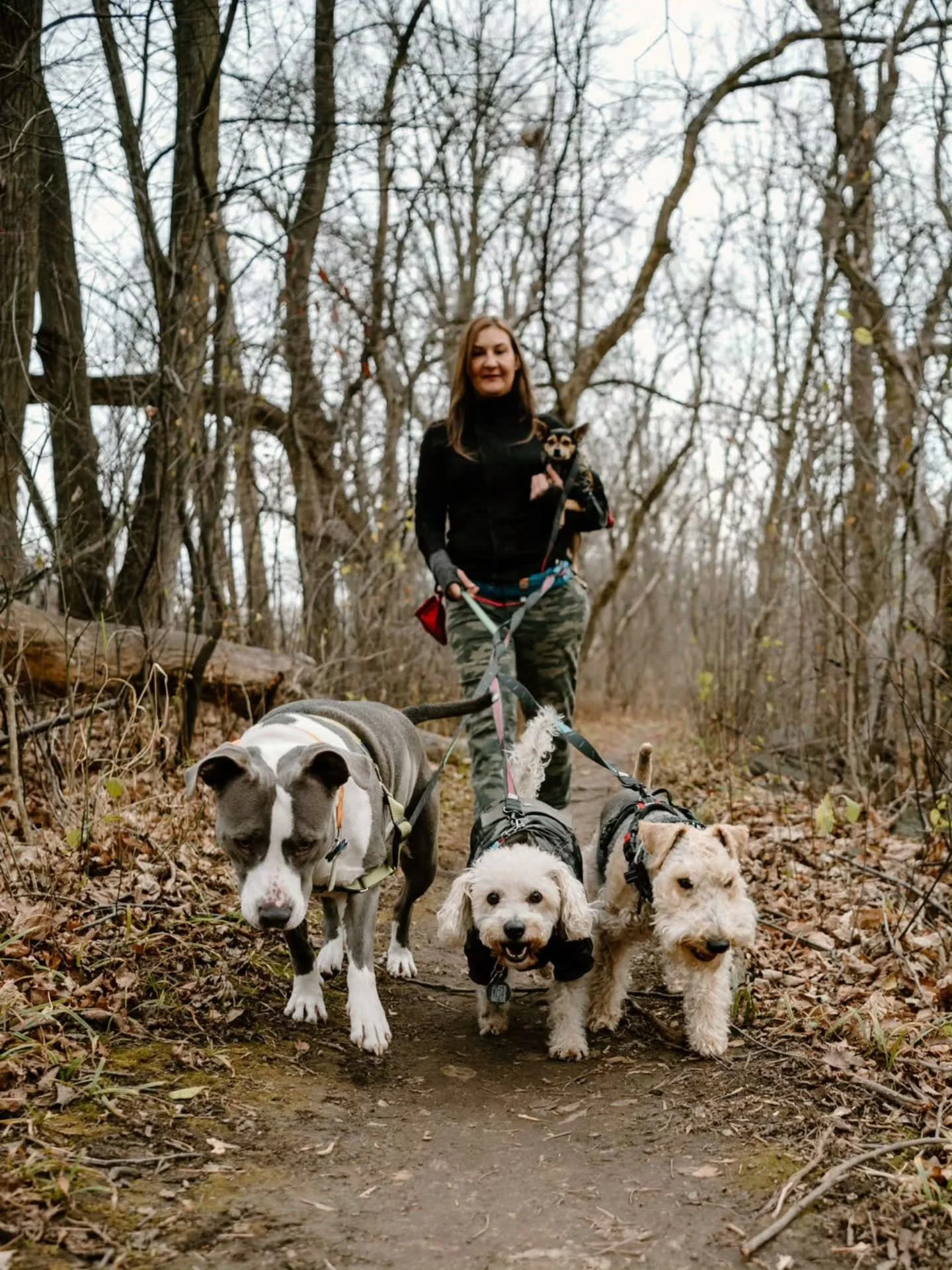 Ten years ago, Off Leash MKE looked a lot like this.

A few dogs, a couple people helping me, and an idea that dogs deserved more than a quick walk around the block.

I wanted them to get outside, hit the trail, sniff, explore, decompress, and have a