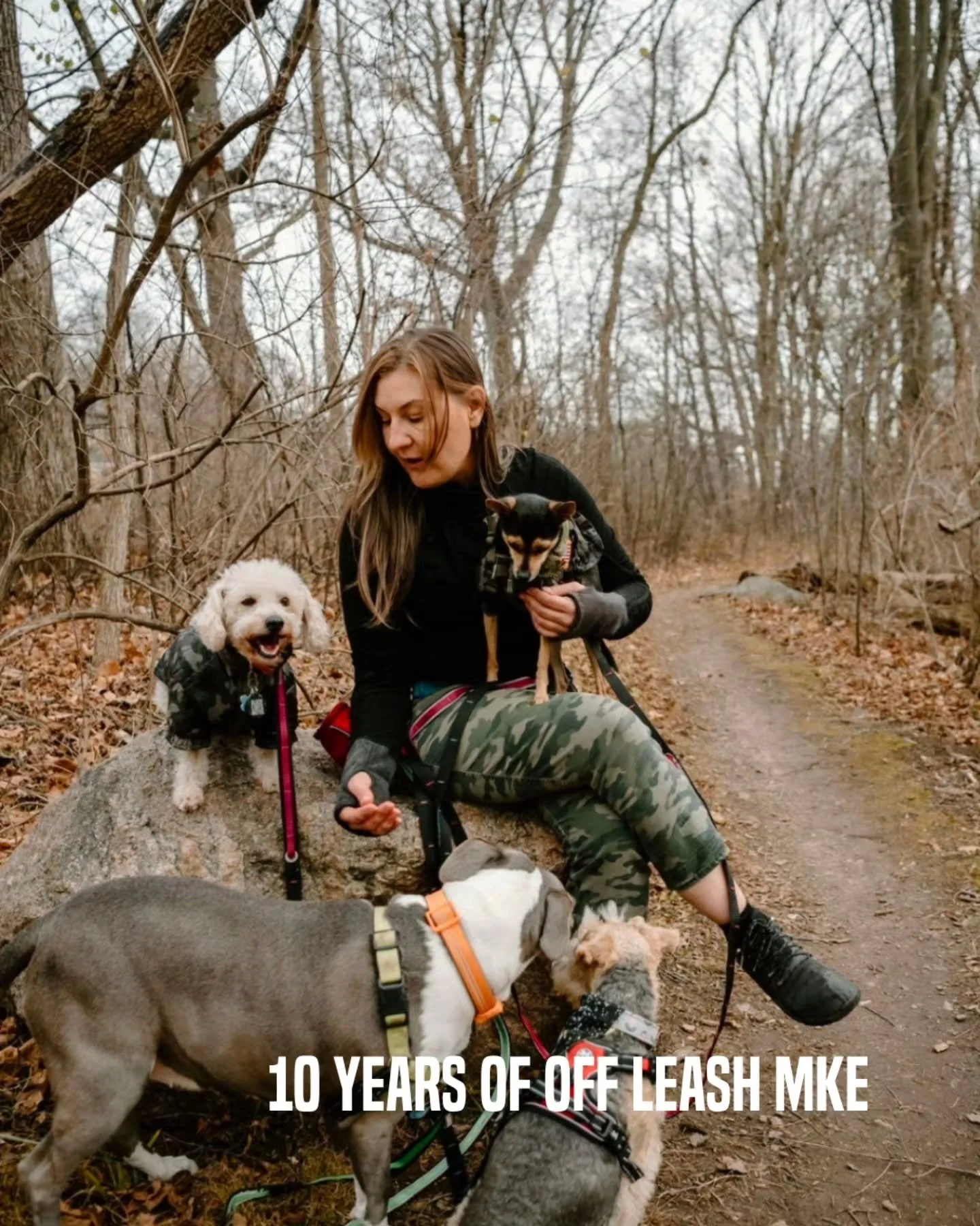 This photo was taken about seven years ago, when Off Leash MKE was still pretty small.

A lot has changed since then, more dogs, more people, a much bigger team, and a whole lot more logistics. 

But the part I cared about most then is still the part
