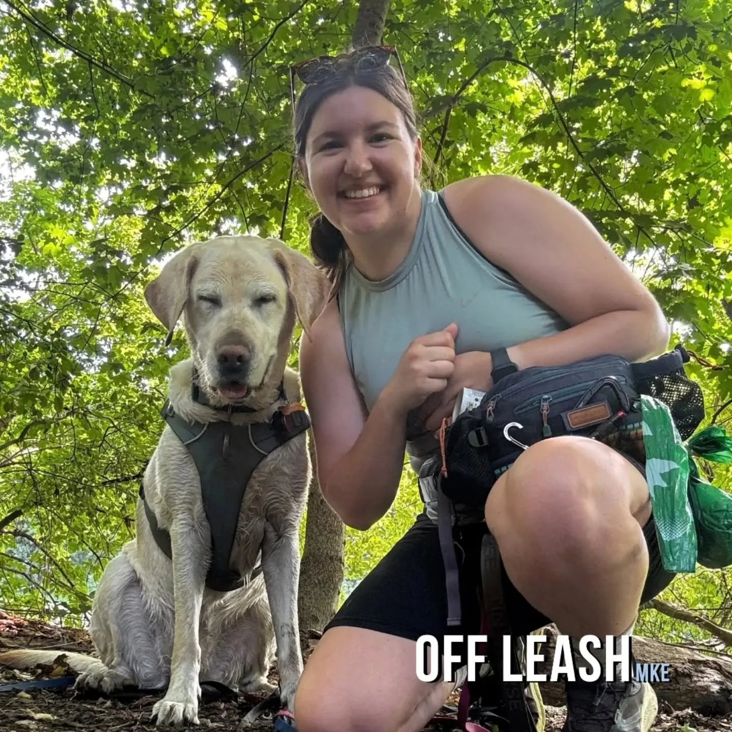 Happy 1-Year Anniversary, Amy!

Today we&rsquo;re celebrating our amazing on-staff dog trainer and team lead, Amy Stel &ndash; FDM, CSAP-BC, FFCP!
It&rsquo;s hard to believe it&rsquo;s already been a year! From training classes and private training t