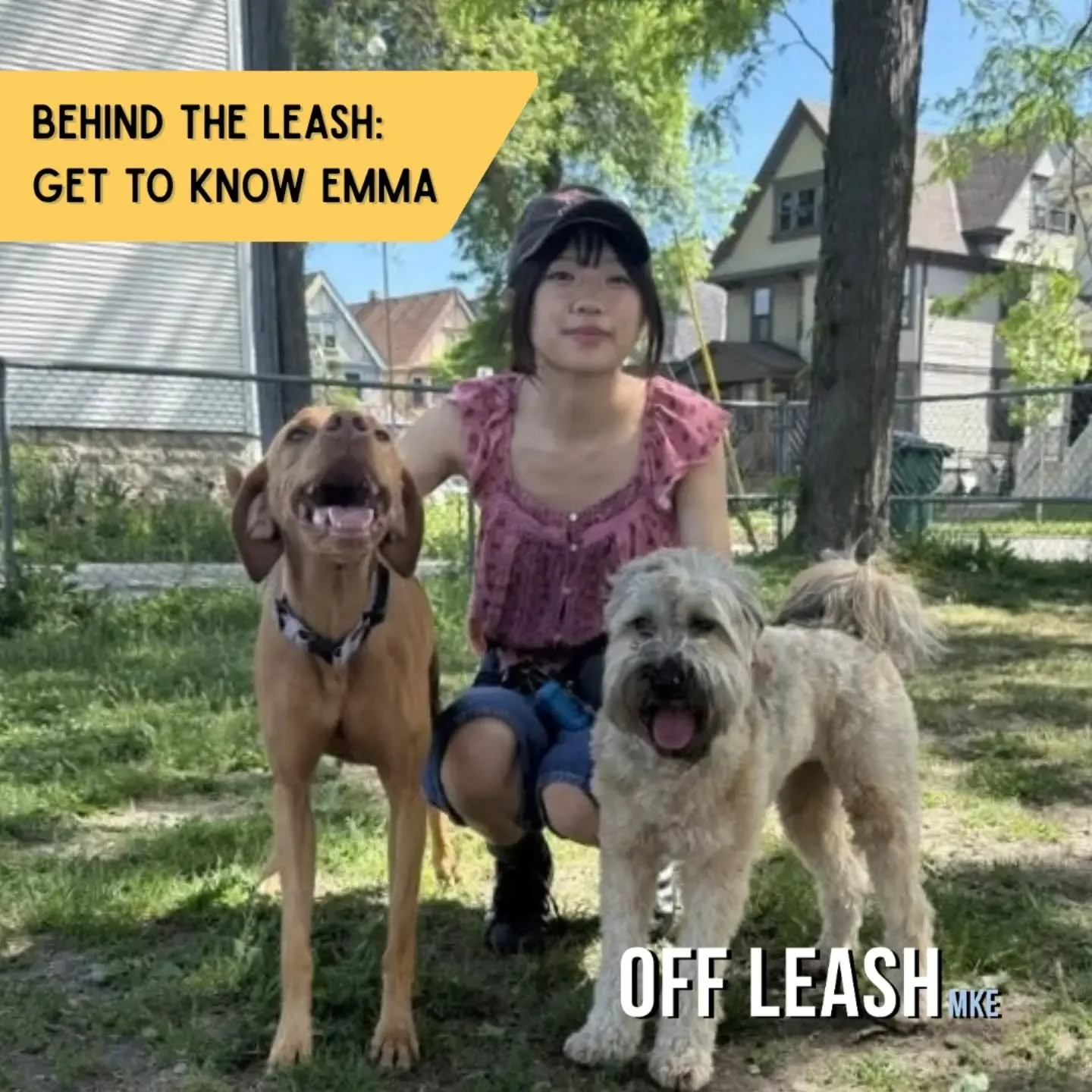 We&rsquo;re excited to celebrate another one our amazing Off Leash MKE team members in our newest edition of Behind the Leash! This time, we&rsquo;re featuring Emma, who joined our team in Spring &rsquo;26. Since then, she&rsquo;s been racking up the