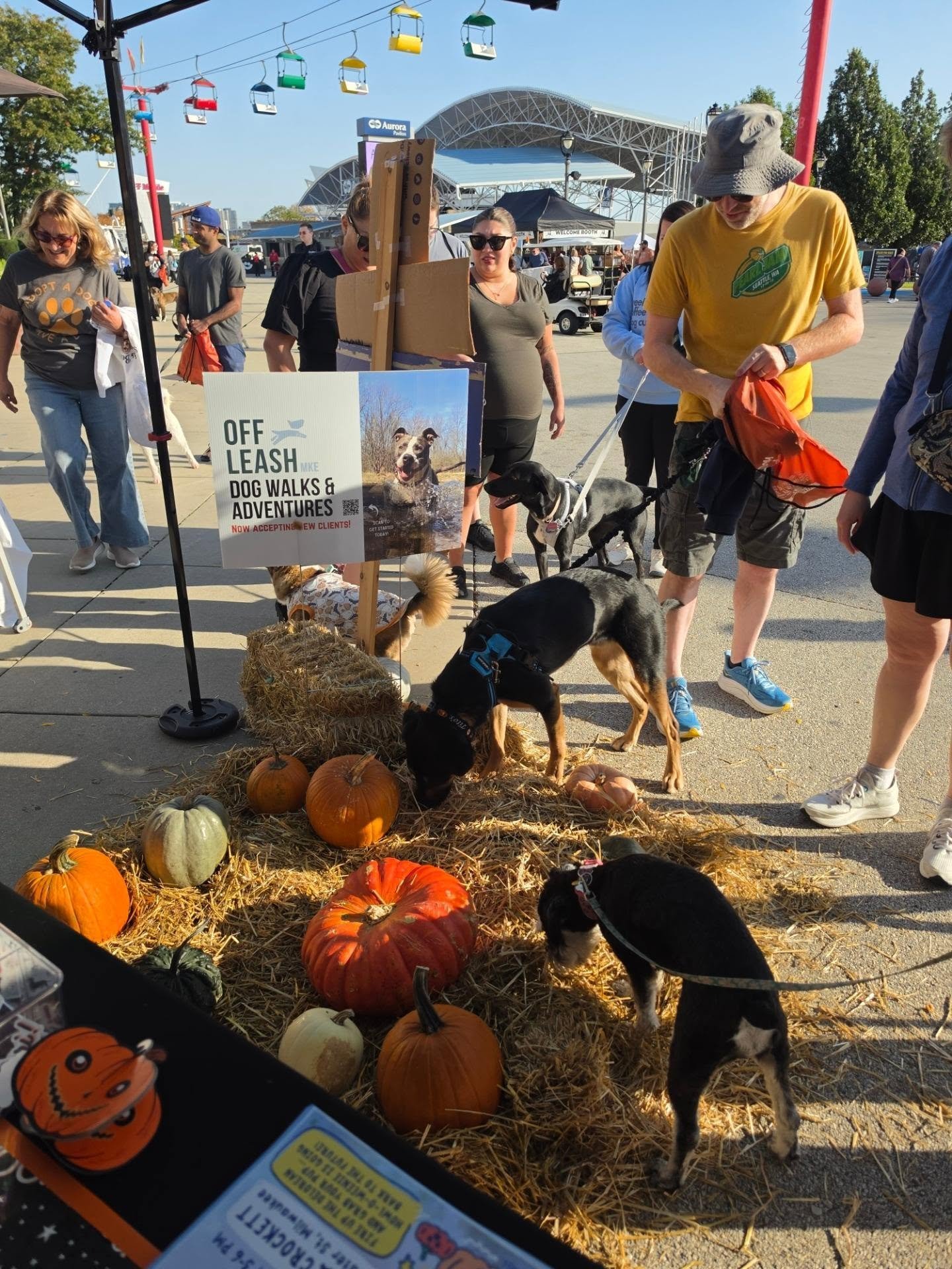 🍂🐾 What a BEAUTIFUL fall day in Milwaukee! 🎃☀️

We're hanging out at Doggy Day at the Lakefront supporting our friends at Winston's Wishes, and we'd LOVE to see you!

🍁 Bring your pup by for a little Pumpkin Patch Sniffari!
🐾 Meet the Off Leash 