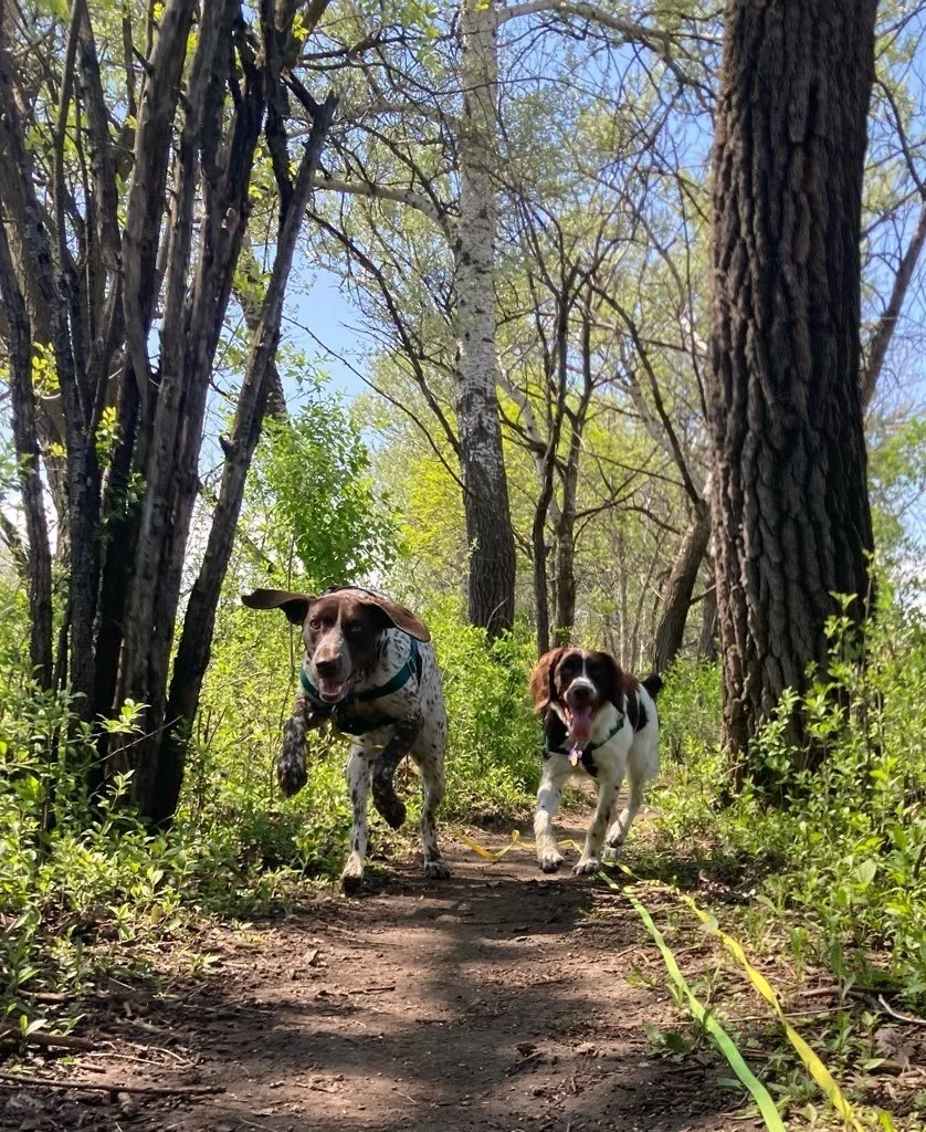 Hoyt Park Trails Wauwatosa