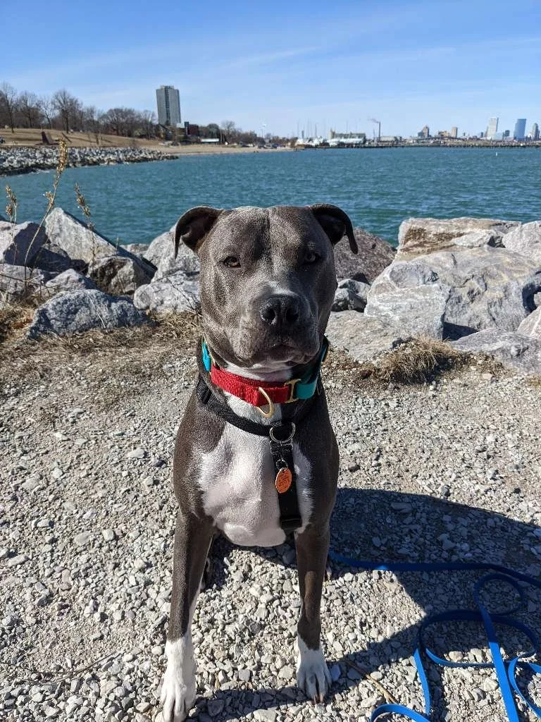 South Shore Park Trails