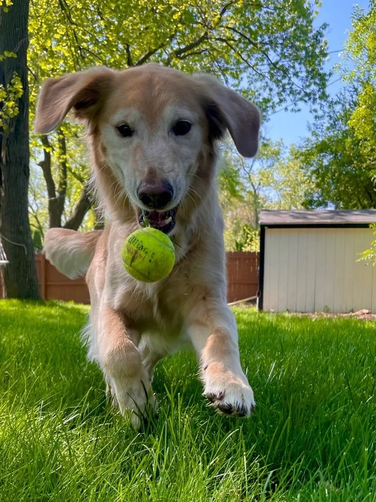 Let’s Talk about Fetch, Baby!
