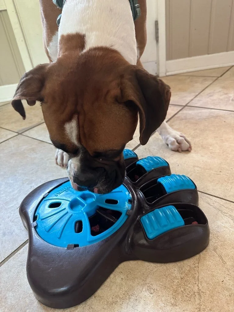 Puppy Safe Dog Crate Toys For Decompression photo