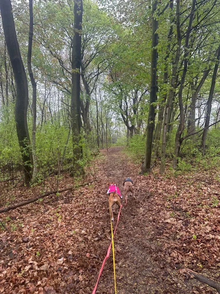 Havenwoods State Park