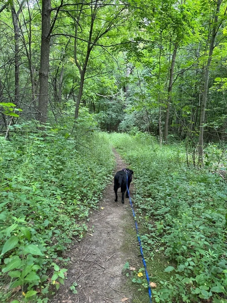 County Grounds Trail Map