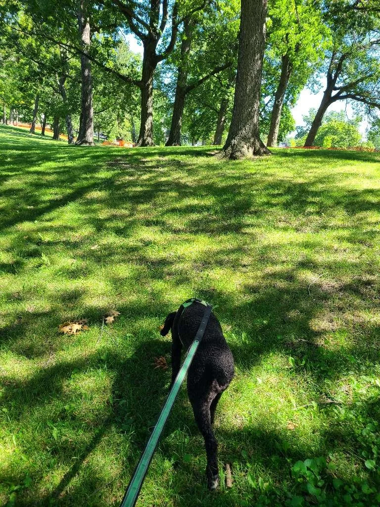 Humboldt Park Trails