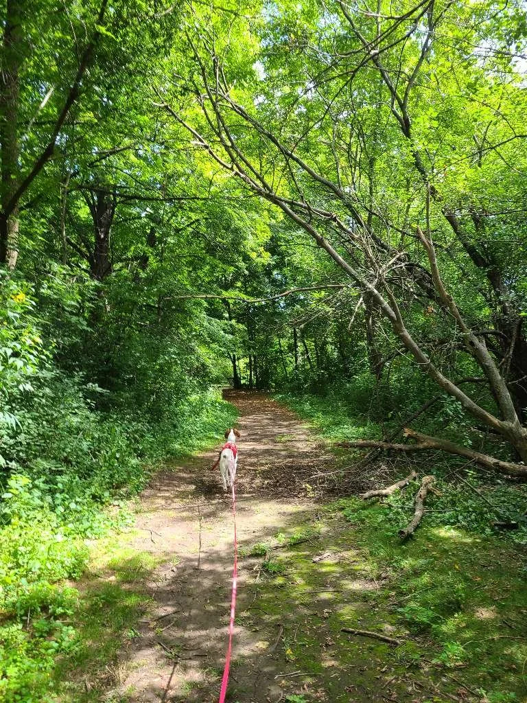 Kletzsch Park Trails