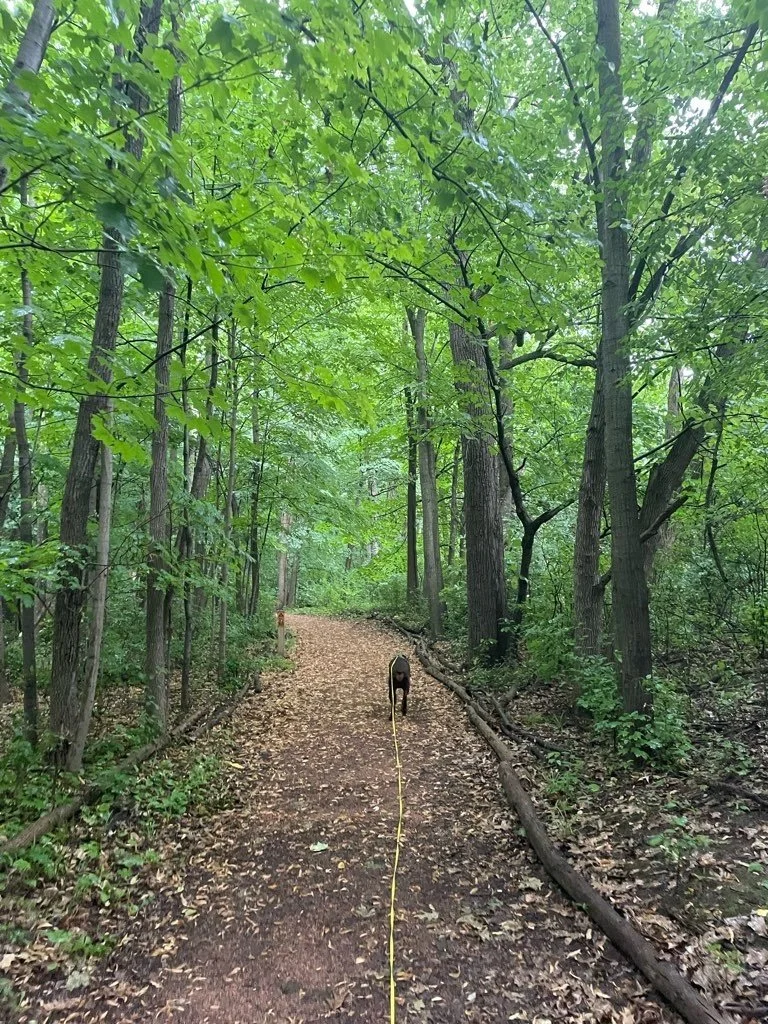 Forest Exploration Center Trails Wauwatosa