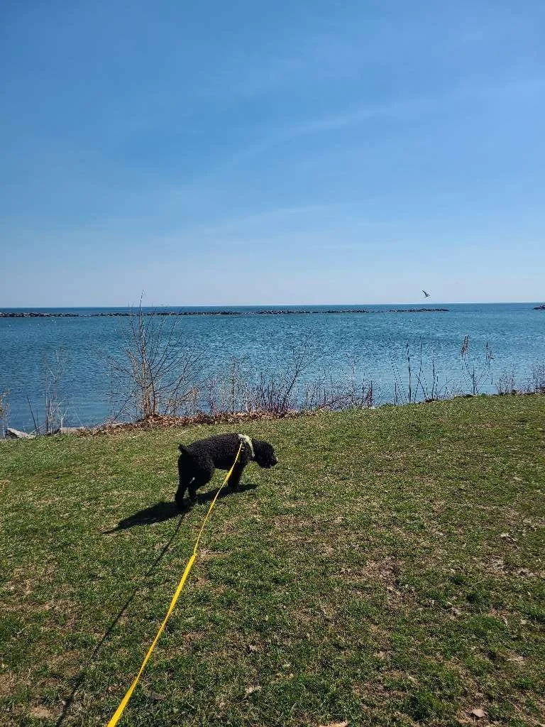 South Shore Park Trails
