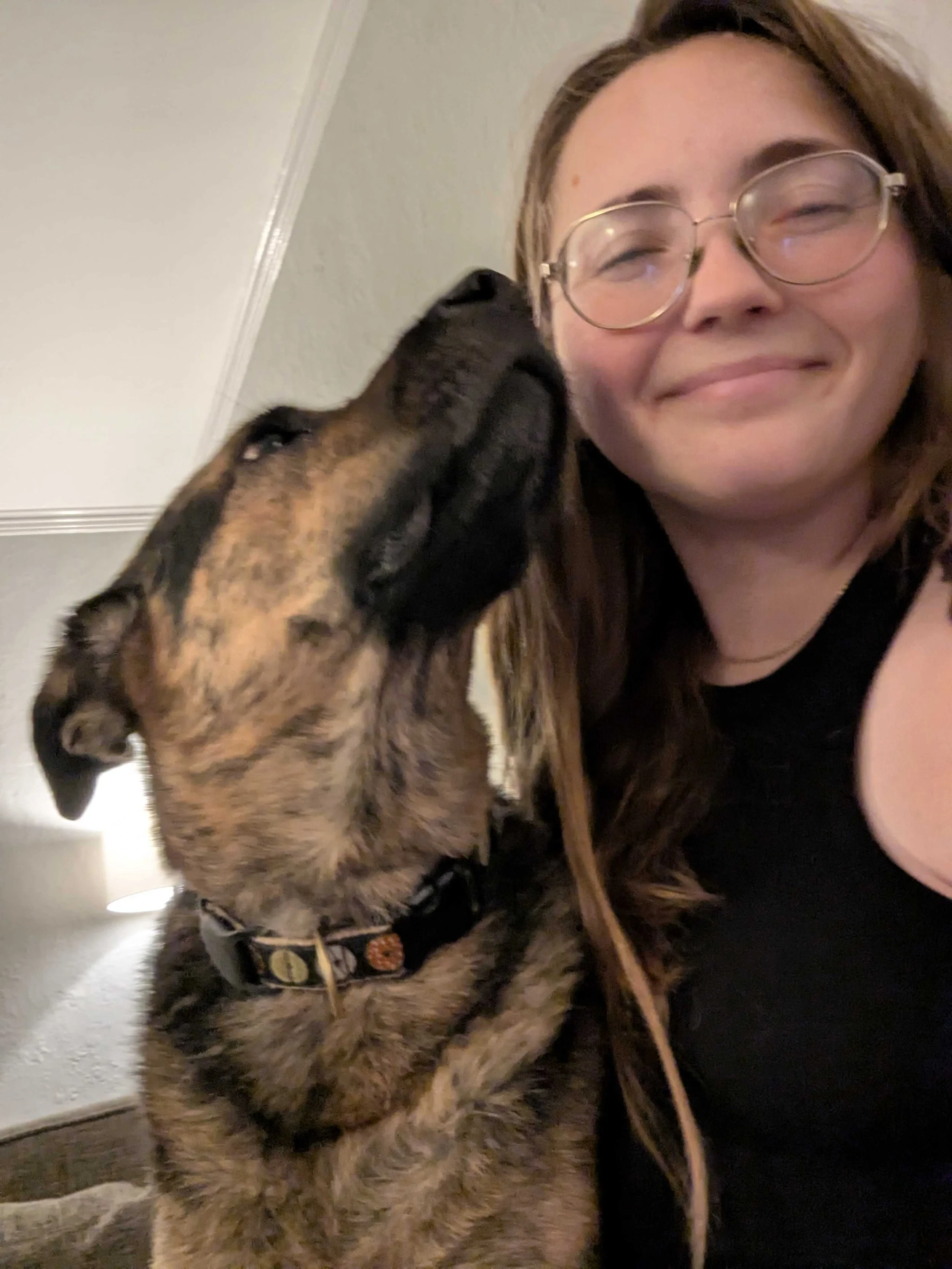 A dog gives kisses to their favorite dog sitter