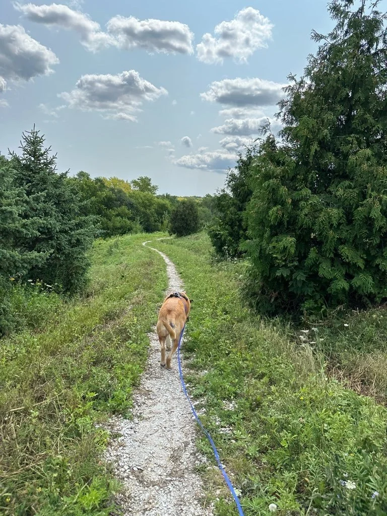 Hartung Park Wauwatosa