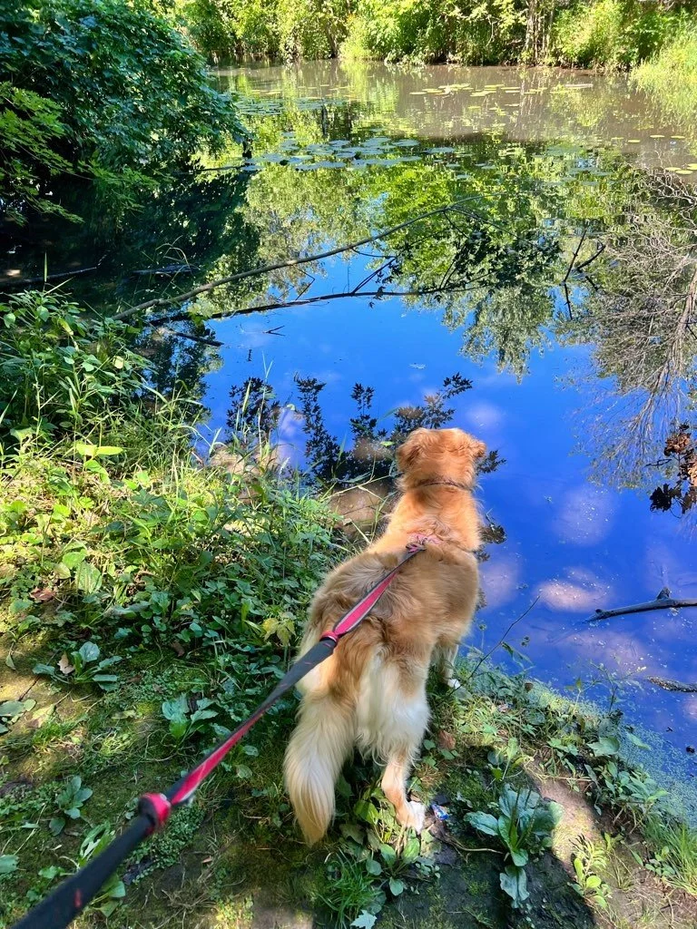 Jacobus Park Trails Wauwatosa