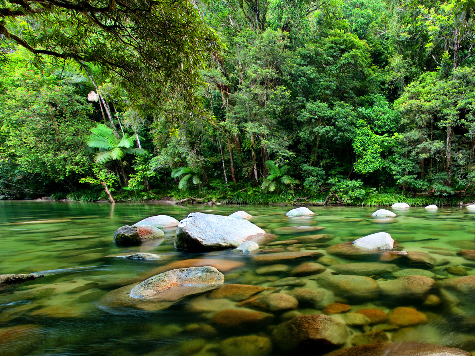 Explore Mossman Gorge