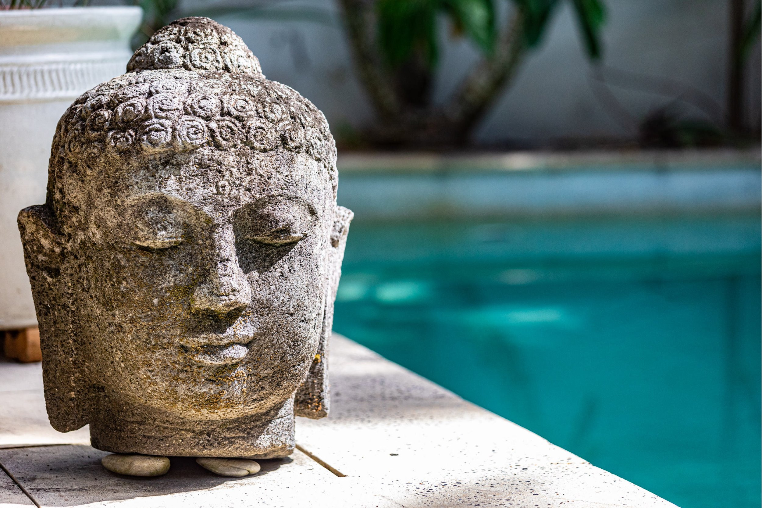 PPSPD_VILLA BILAWAI_2023 2.jpg