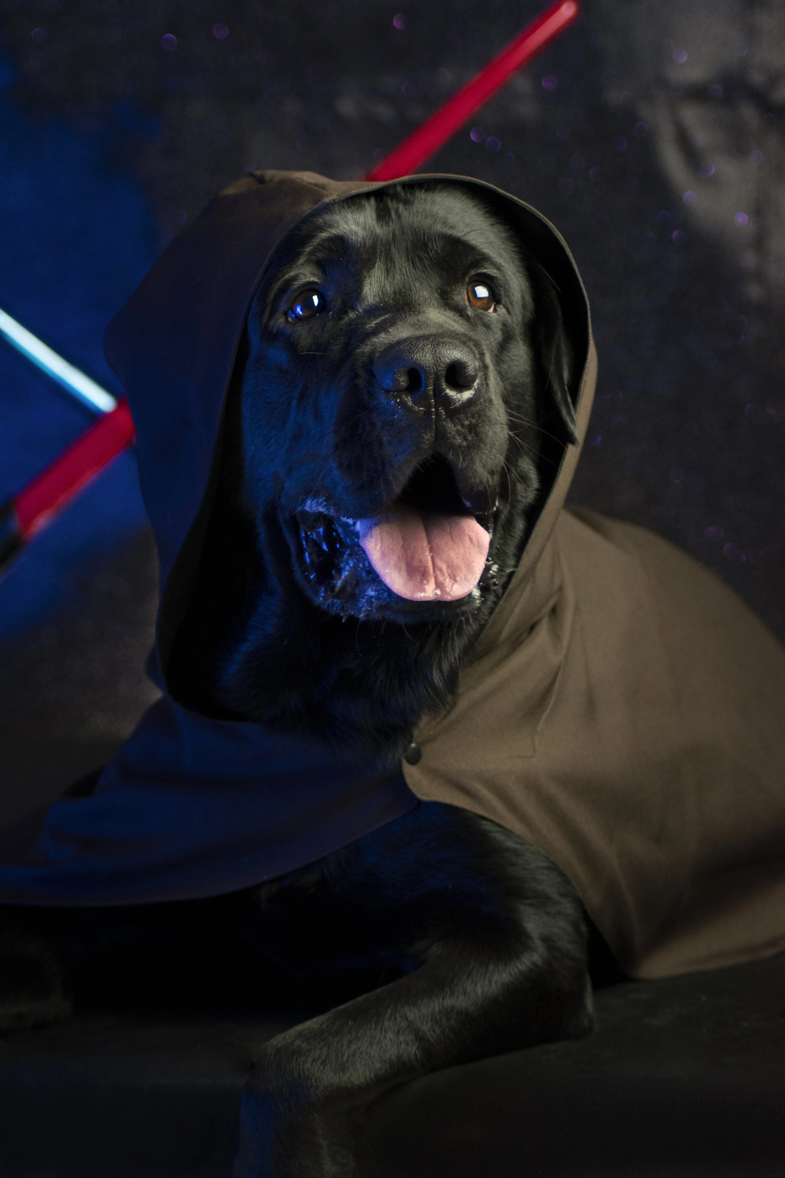 Kylo copy.JPG