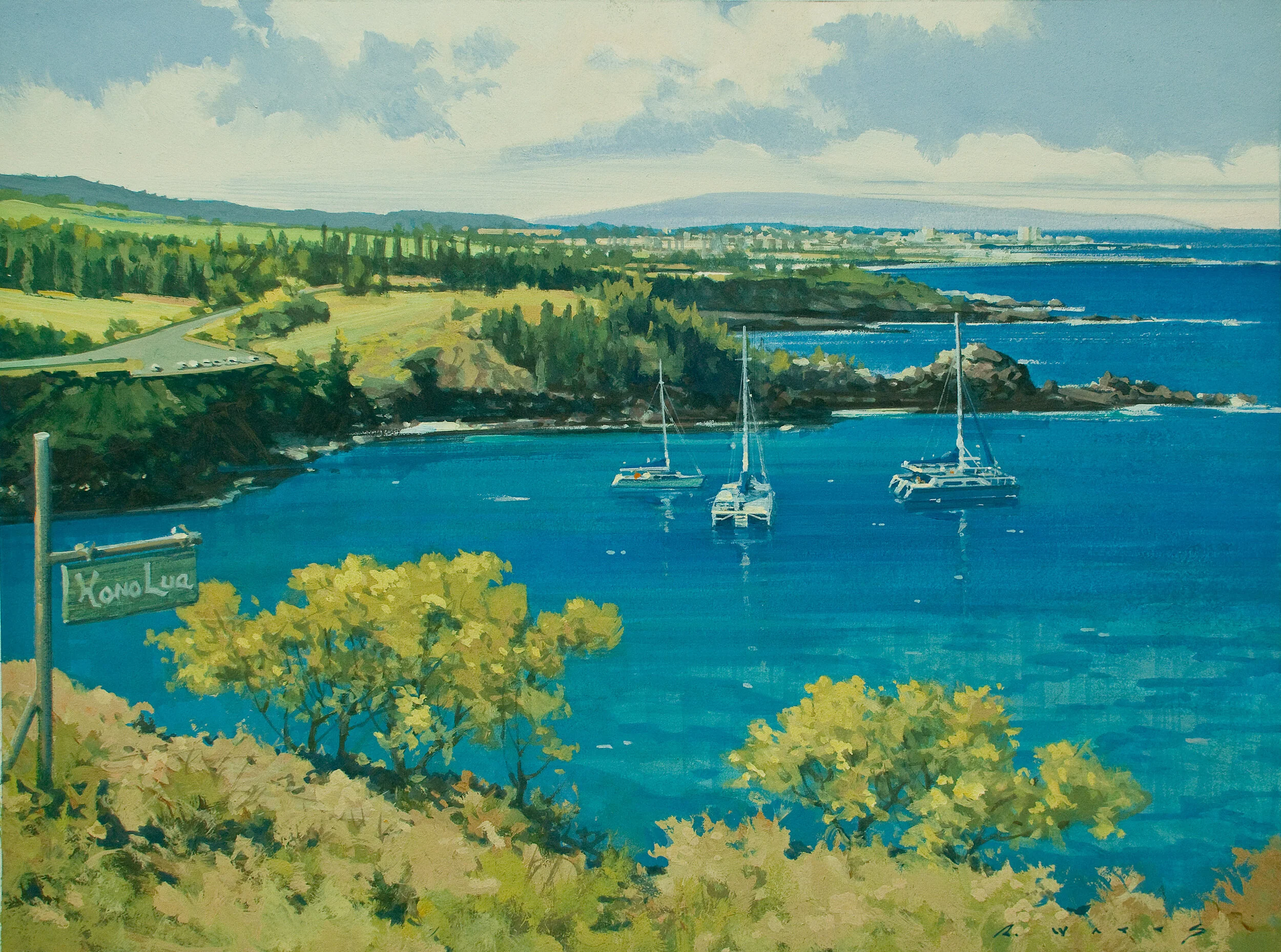 HonoluaBay_.jpg