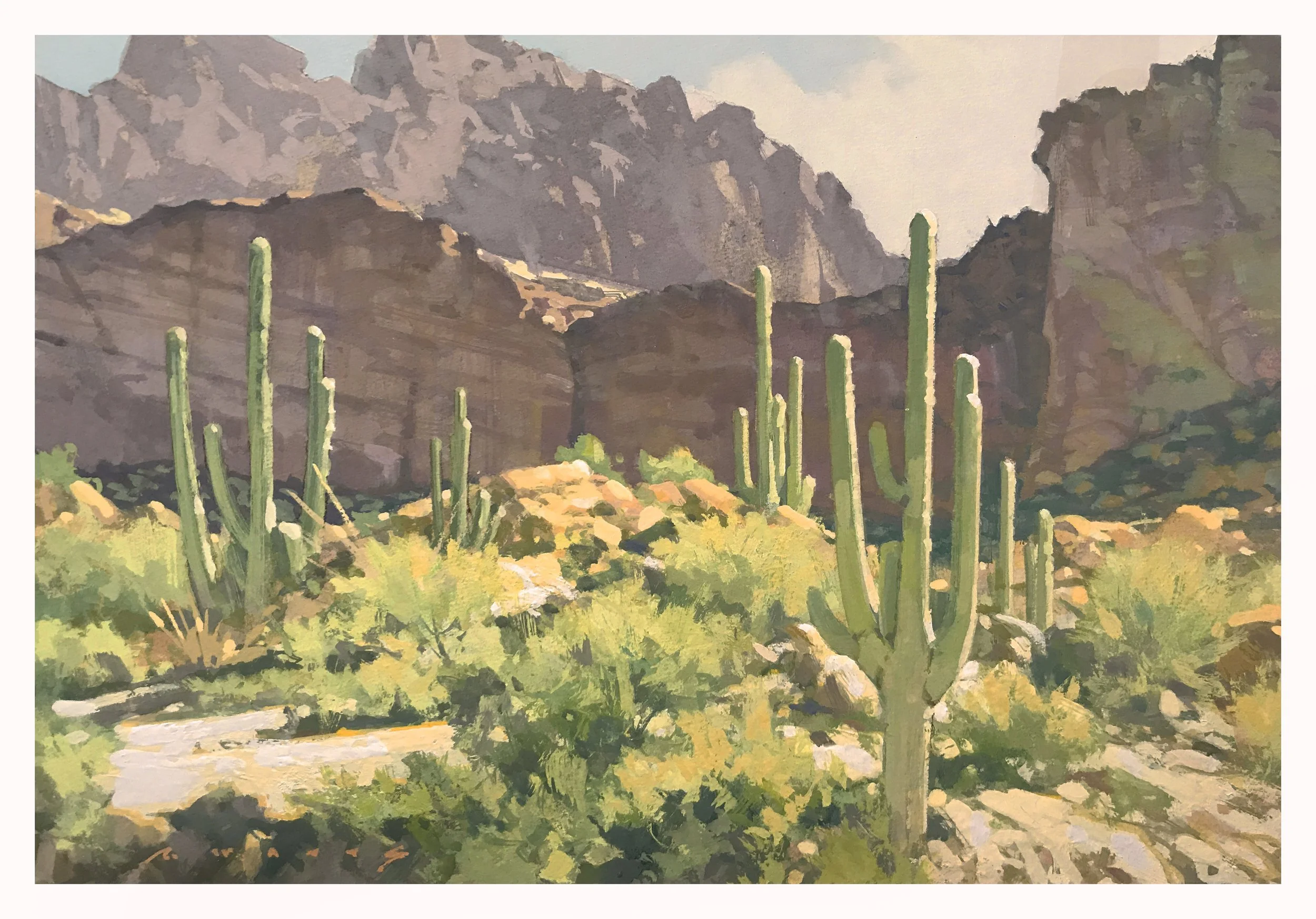 ' Picketpost Mountain ' 12" X 8.25" gouache on heavy rag board