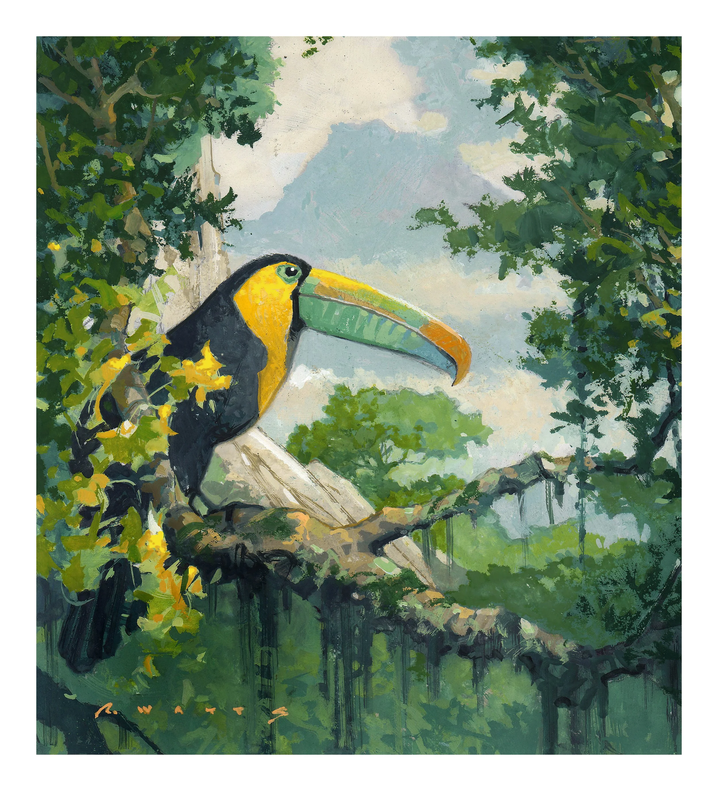 ' The Toucan ' gouache on gesso'd panel 10" X 9 7/8"