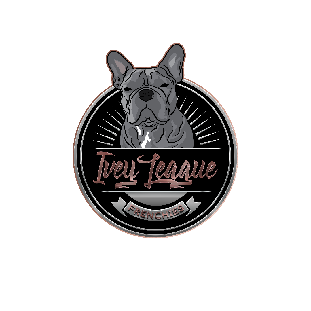 Ivey League Frenchies