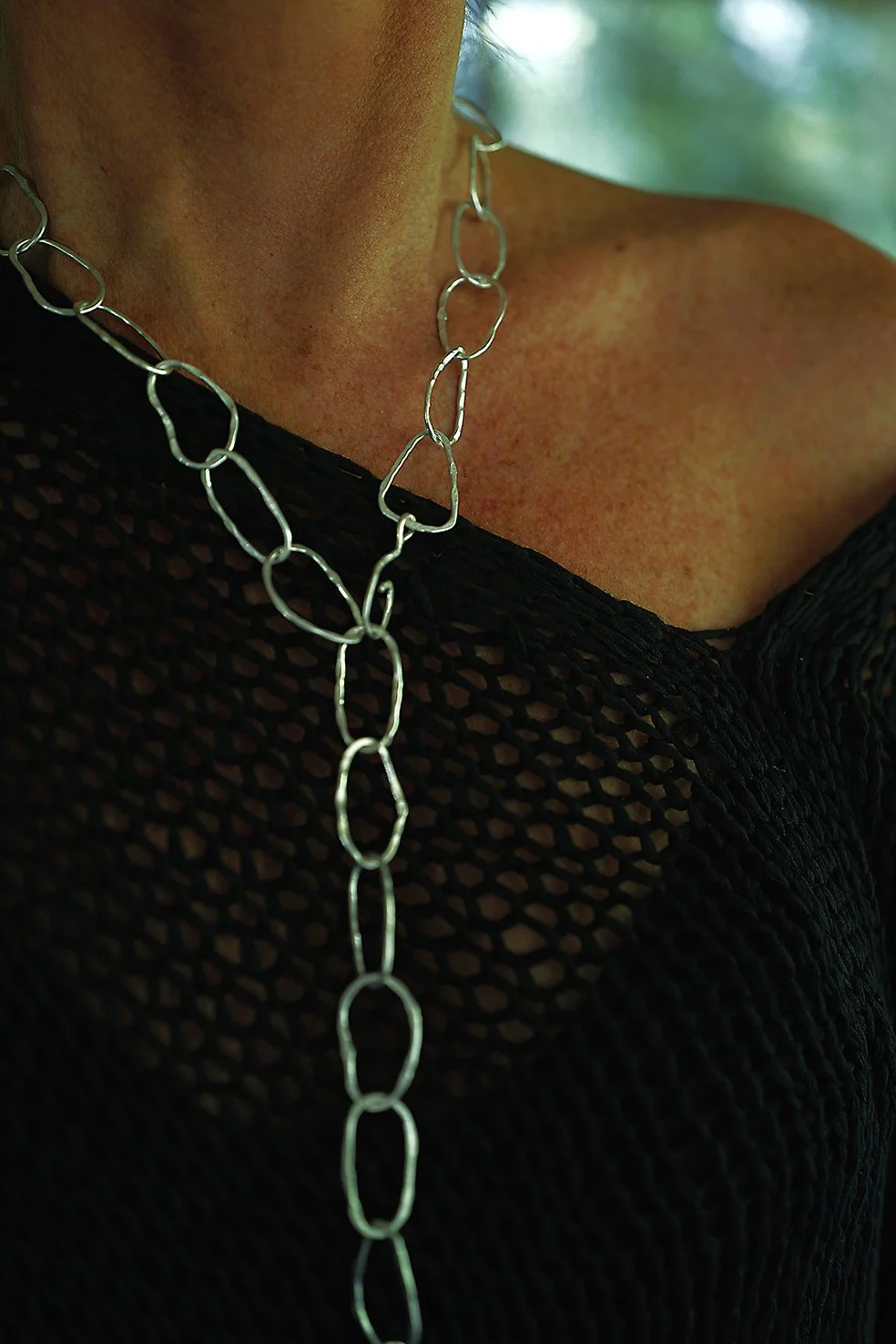 SILVNECKweb.jpg