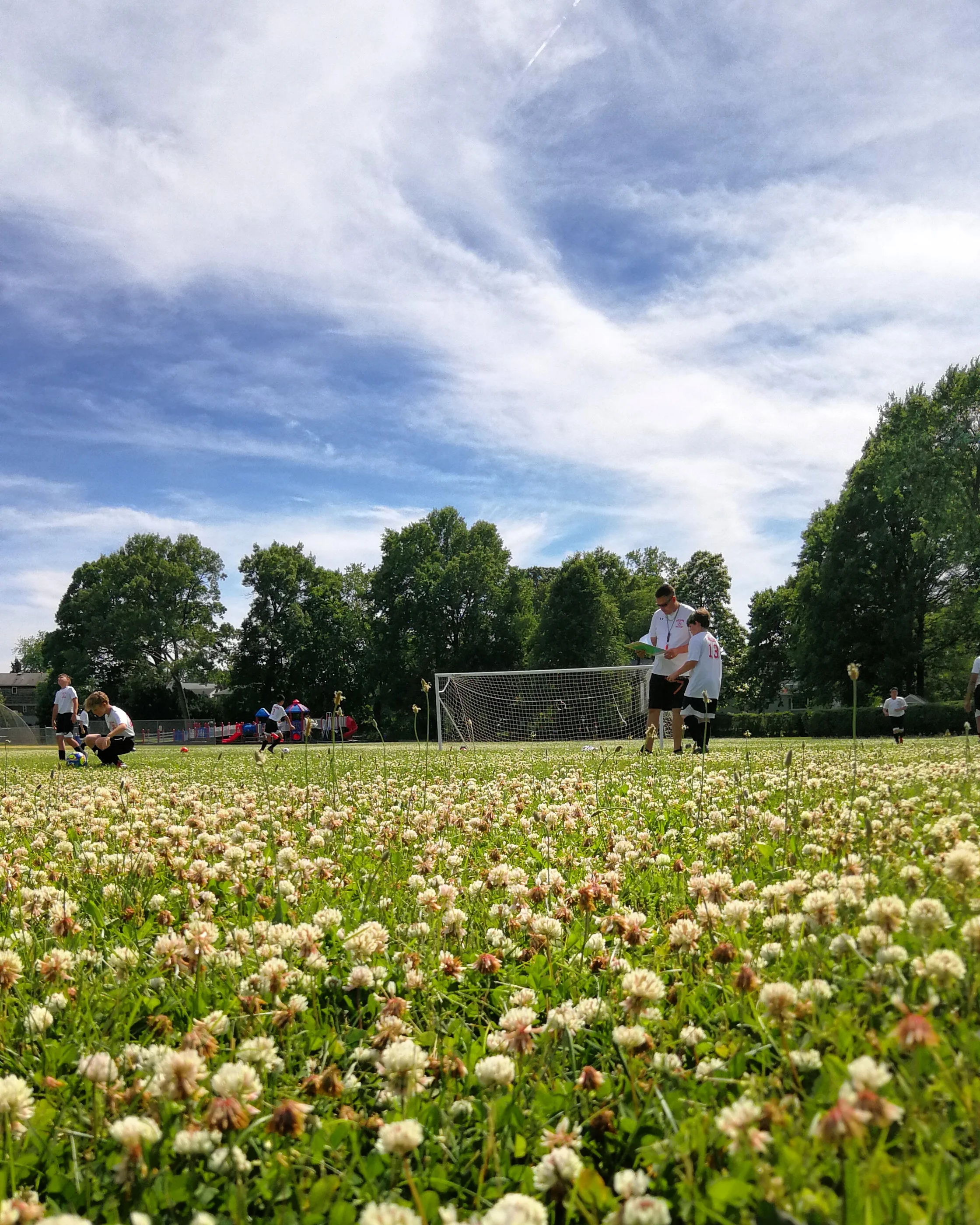 IMG_20190608_195915_853.jpg