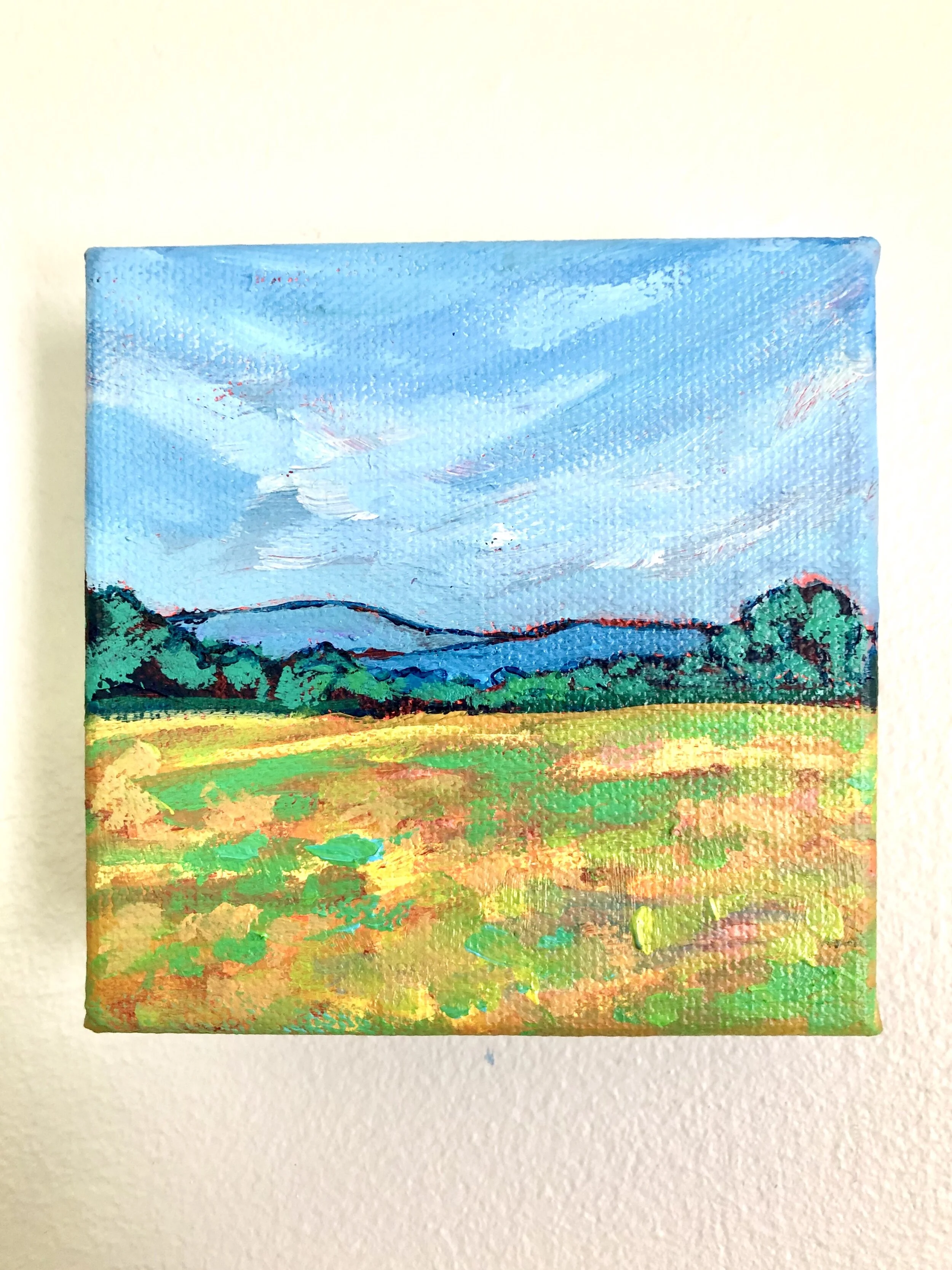 Spring Mountains #11