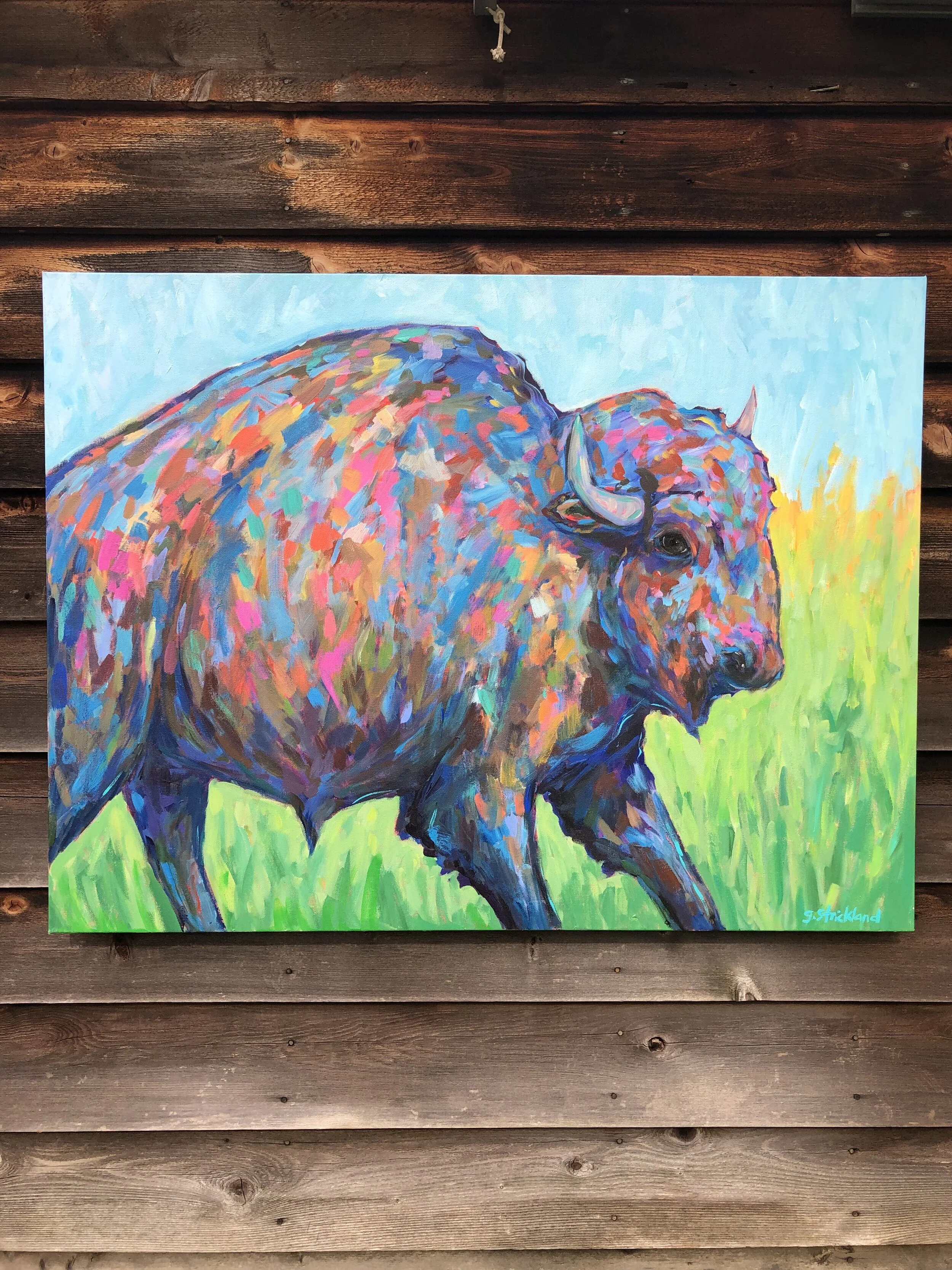 "Buffalo #1"