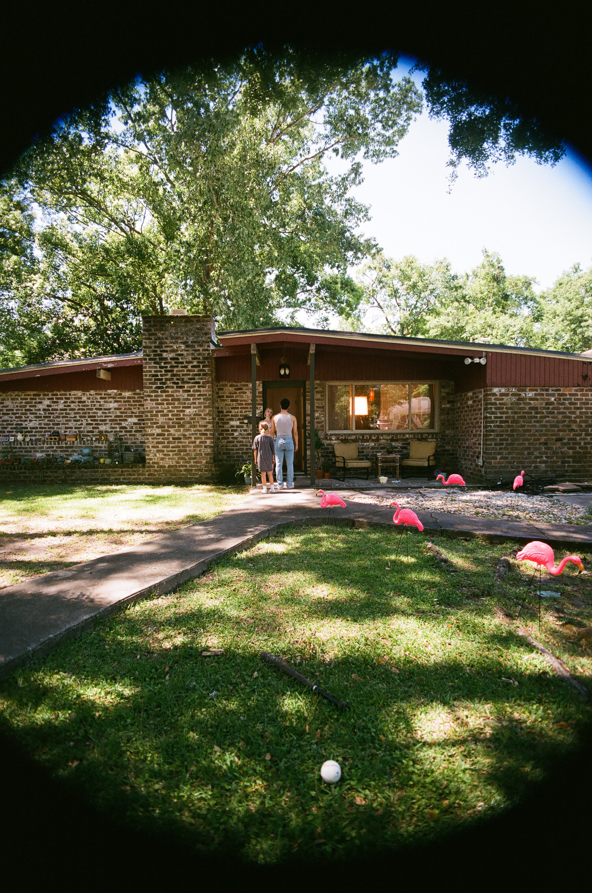 Pink Flamingos edited-33.JPEG