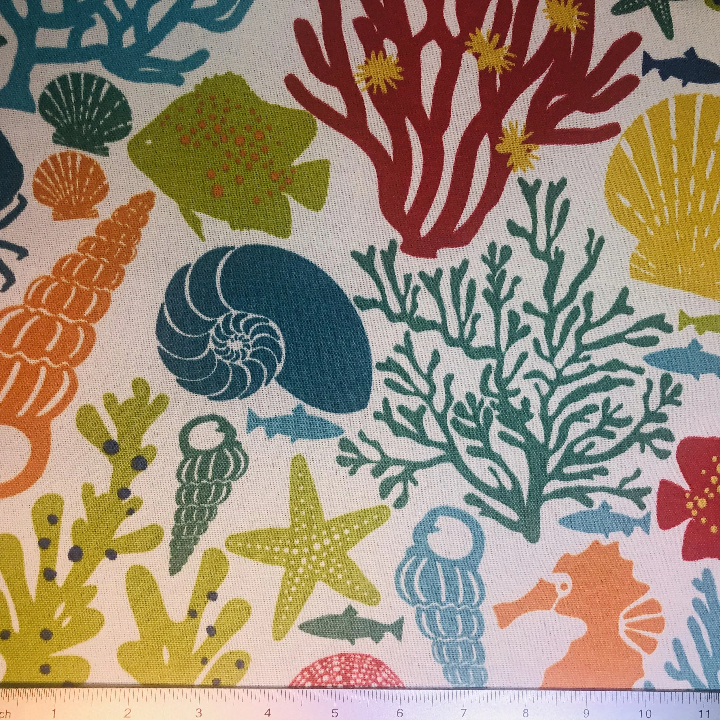 Underwater Wonders.JPEG