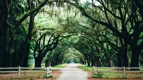 We live a ‘constructed’ reality