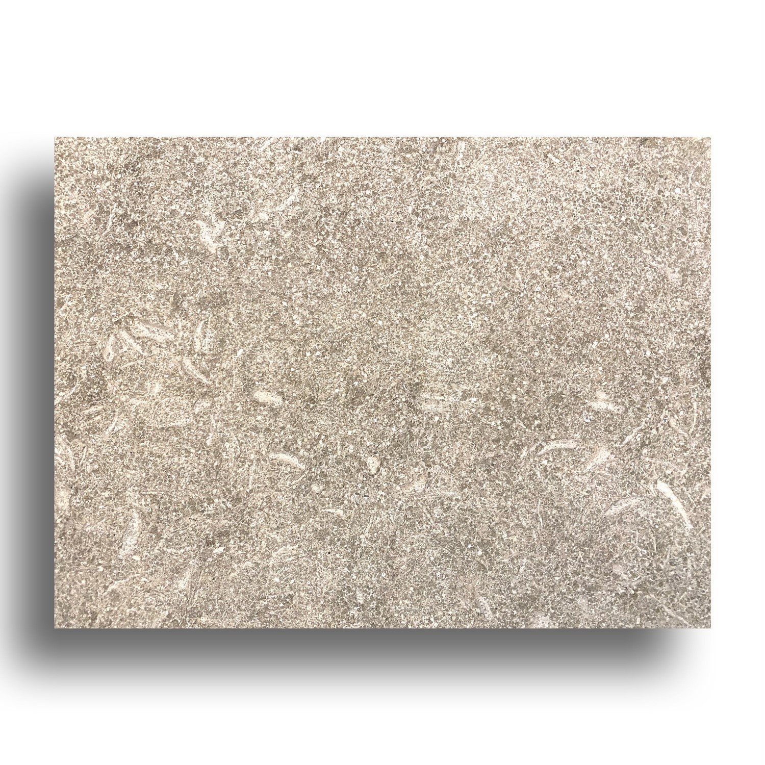  plonc. Seagrass Marble Tile