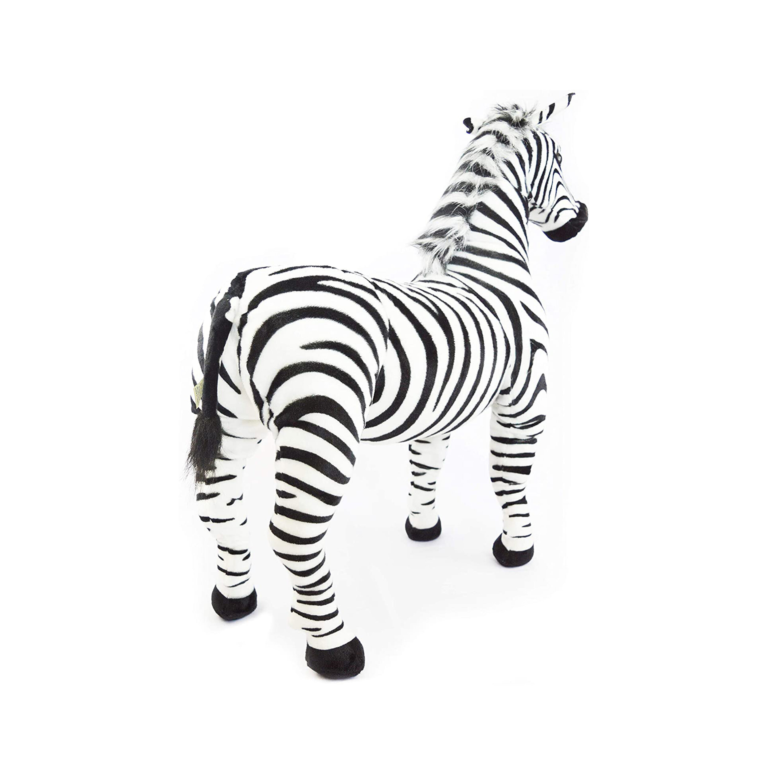 Zebra Back 1.jpg