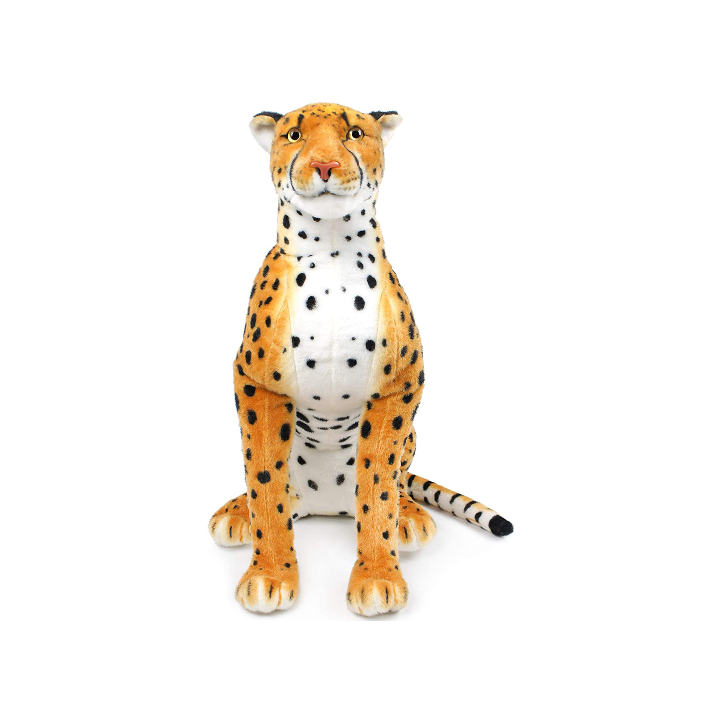 Cheetah Front 1.jpg