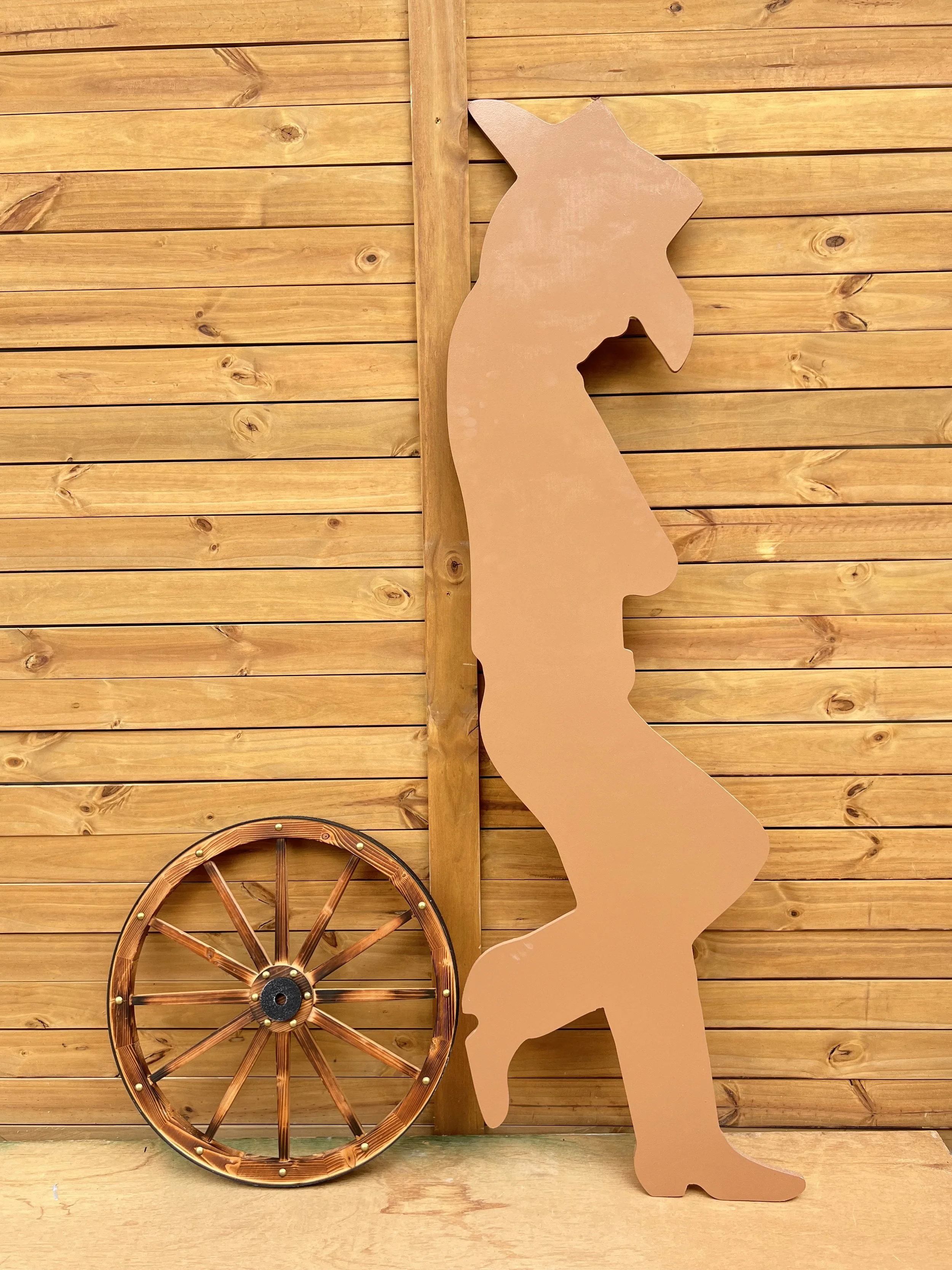 Western Set
