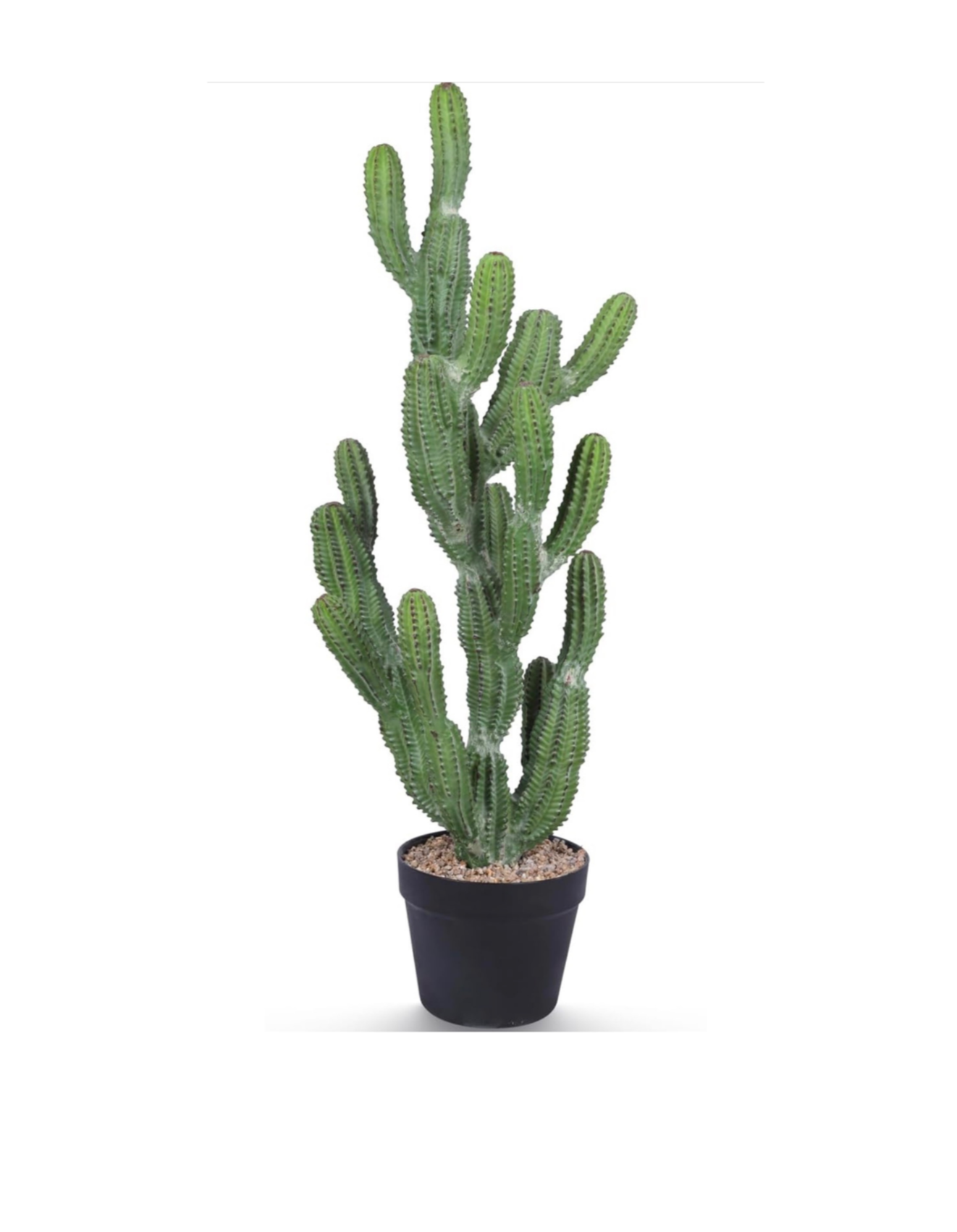 32inch%252Bartificial%252Bcactus%252Bplant%252B-%252Bwow%252Bmy%252Bparty%252Bhouston%252Brental.png