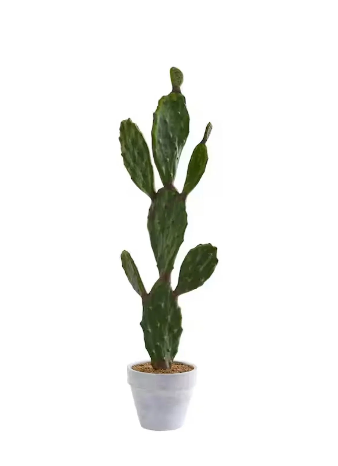 37" Artificial Cactus Prop