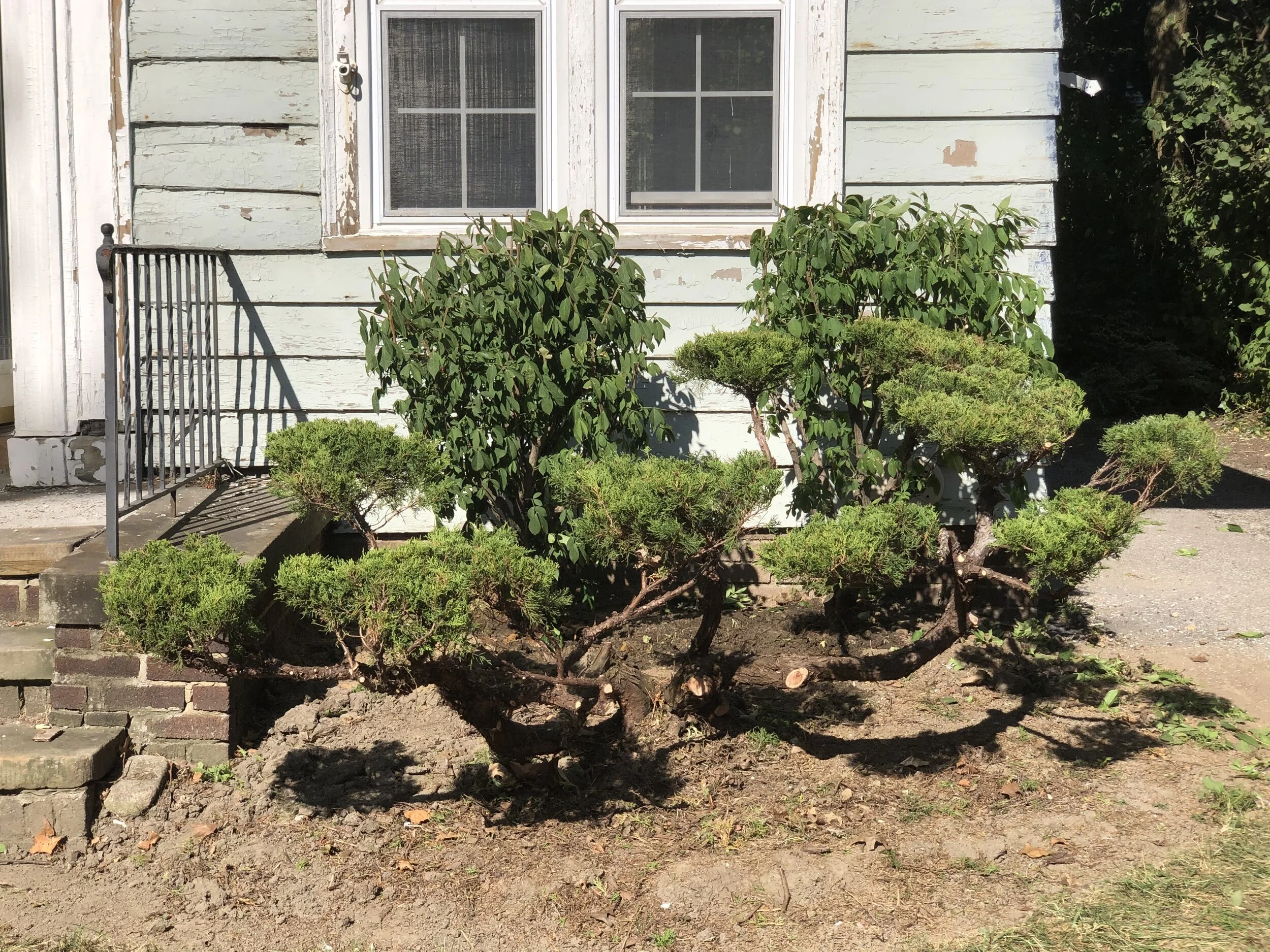  Rebuilding the architecture. 