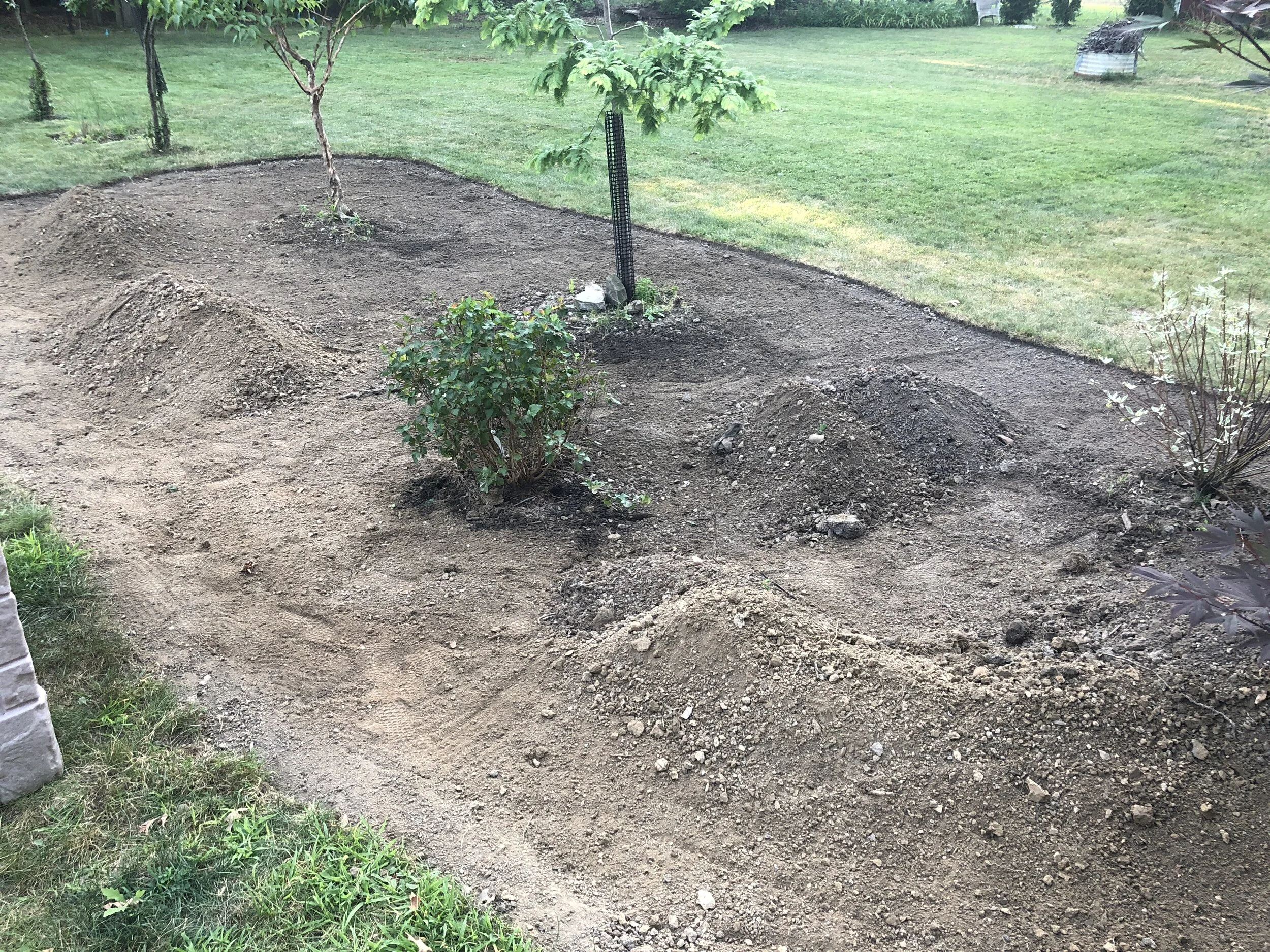 Two neighbors with seasonal flooding issues and an old drain presented a great opportunity for a rain garden!