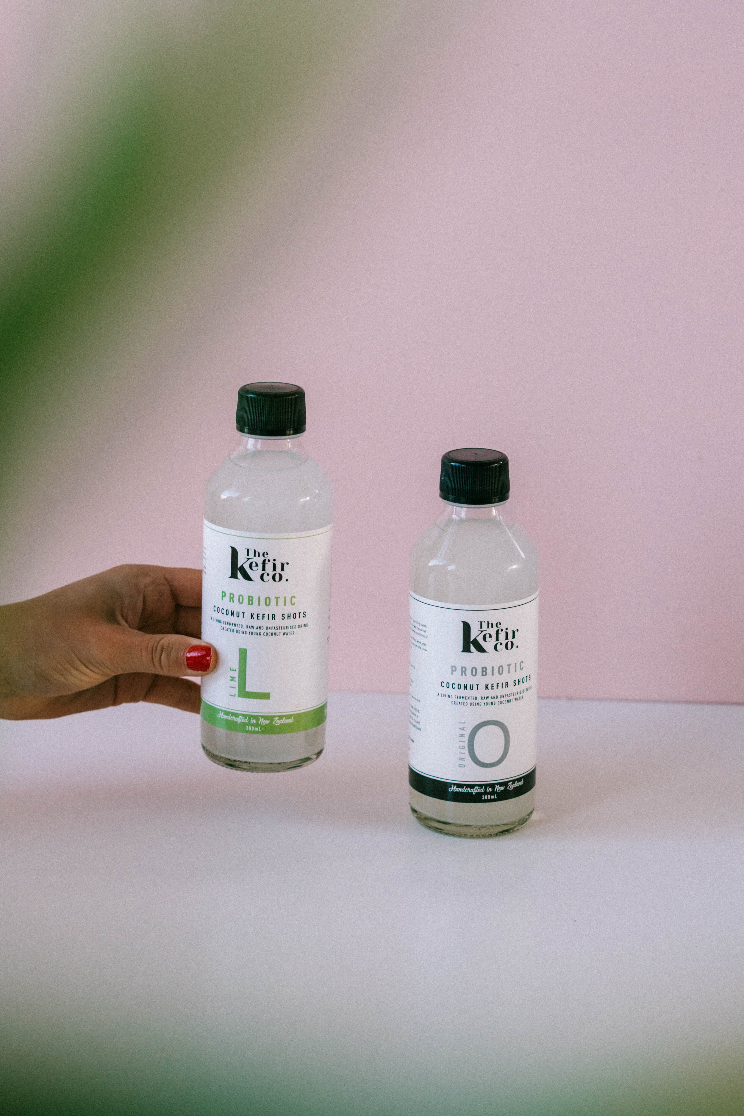Coconut Water Kefir — The Kefir Co Proudly NZ Made Young Coconut Kefir