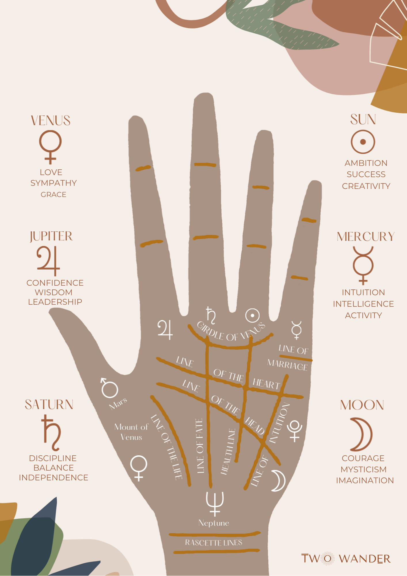 Sun (Apollo) Line - Fame, Luck and Wealth - Palmistry