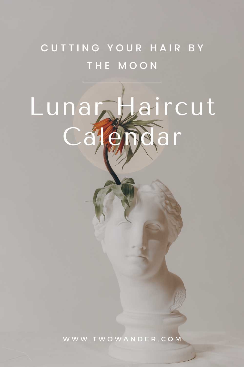 Haircut Calendar 2024 May 2024 CALENDAR PRINTABLE