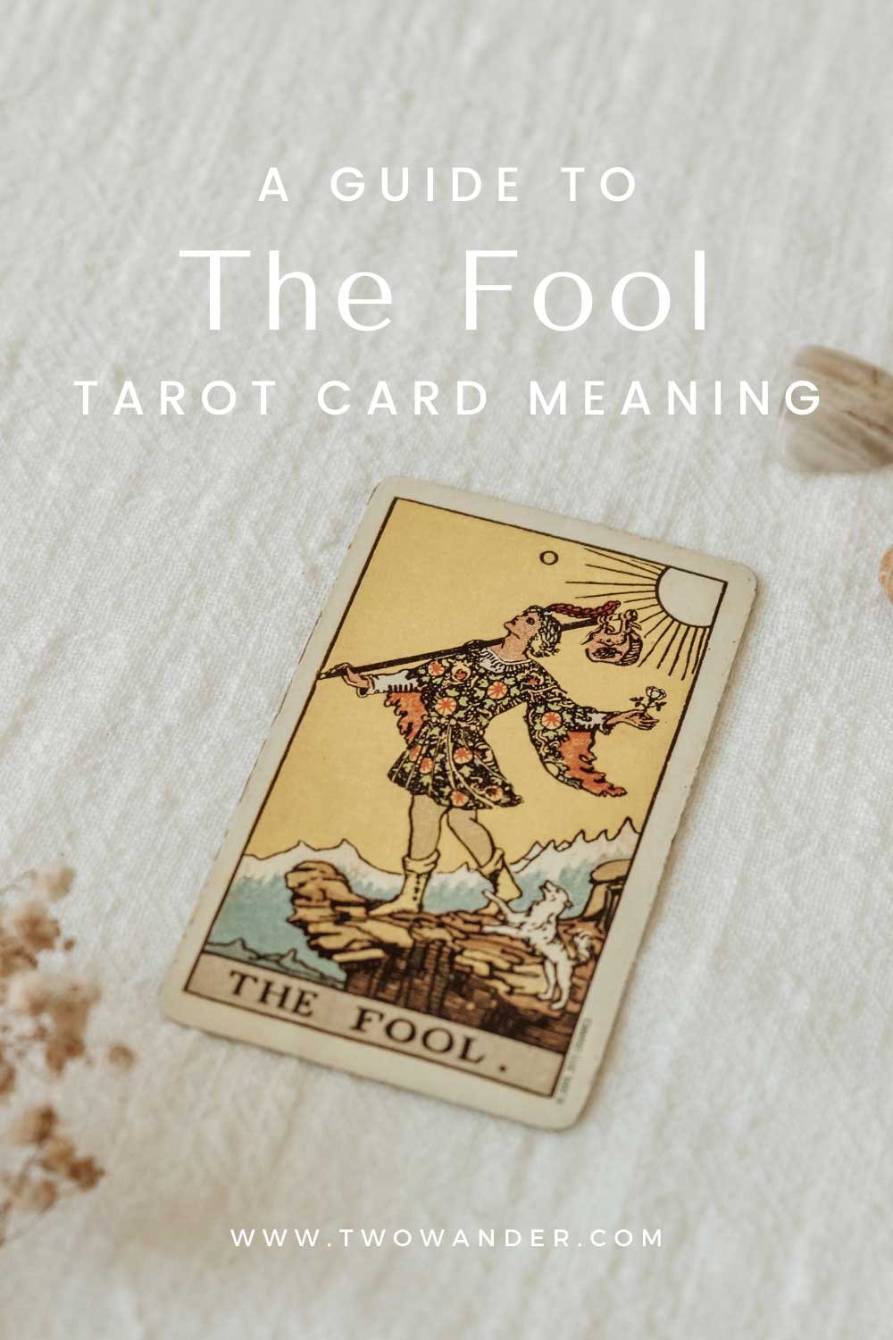 two-wander-the-fool-tarot-card-meaning
