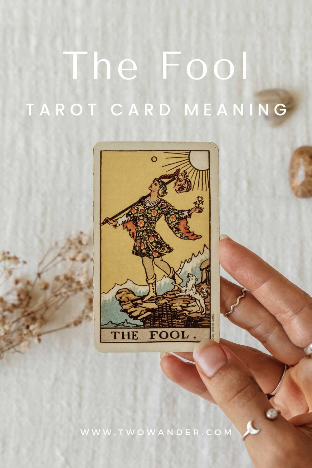 two-wander-the-fool-tarot-card-meaning